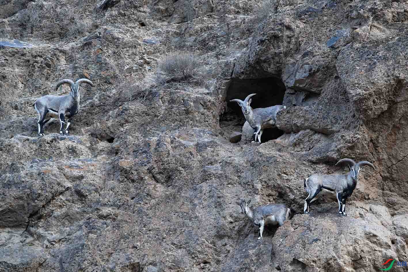 _DSC9259.jpg