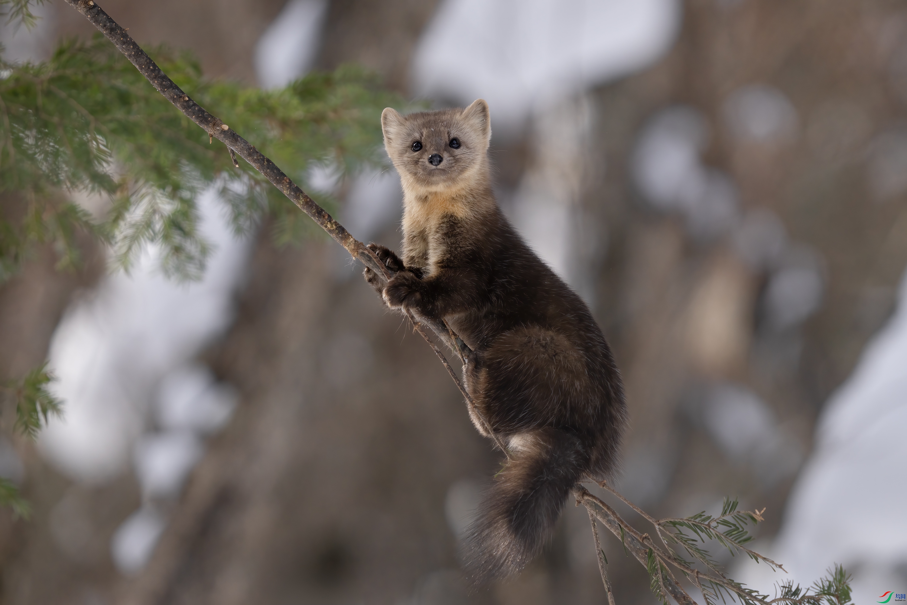 DSC01920-2 ����.jpg