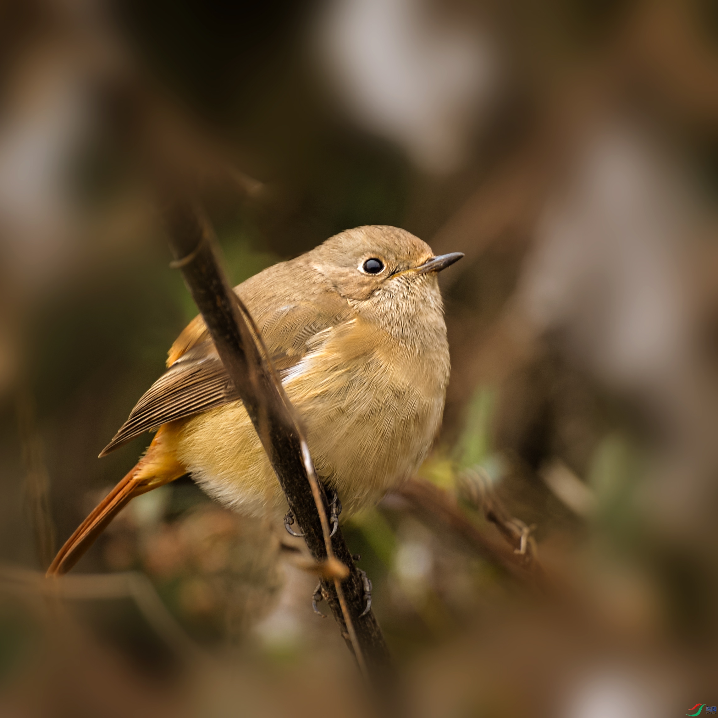 DSC_0046.jpg