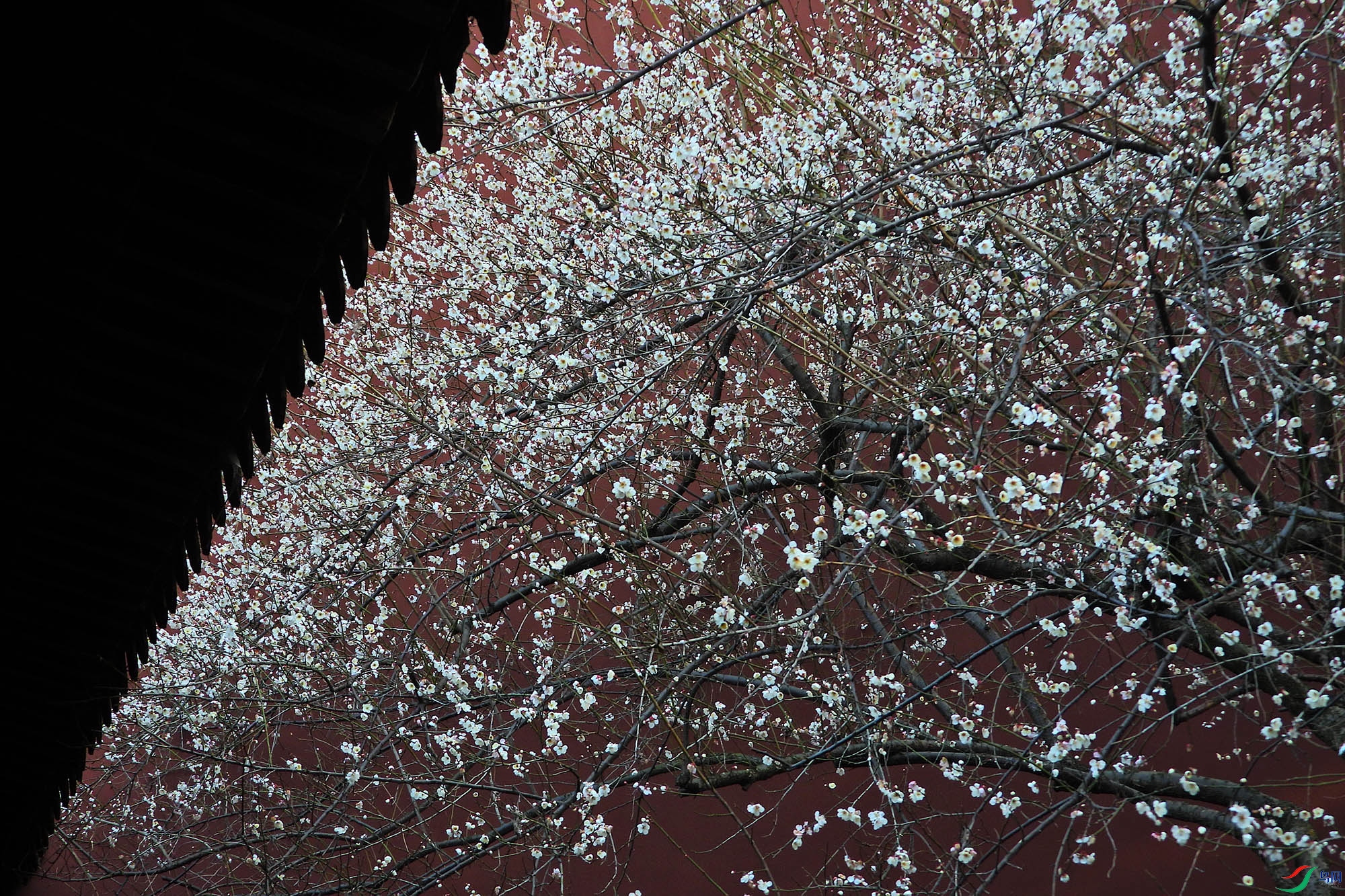 DSCN2619.JPG