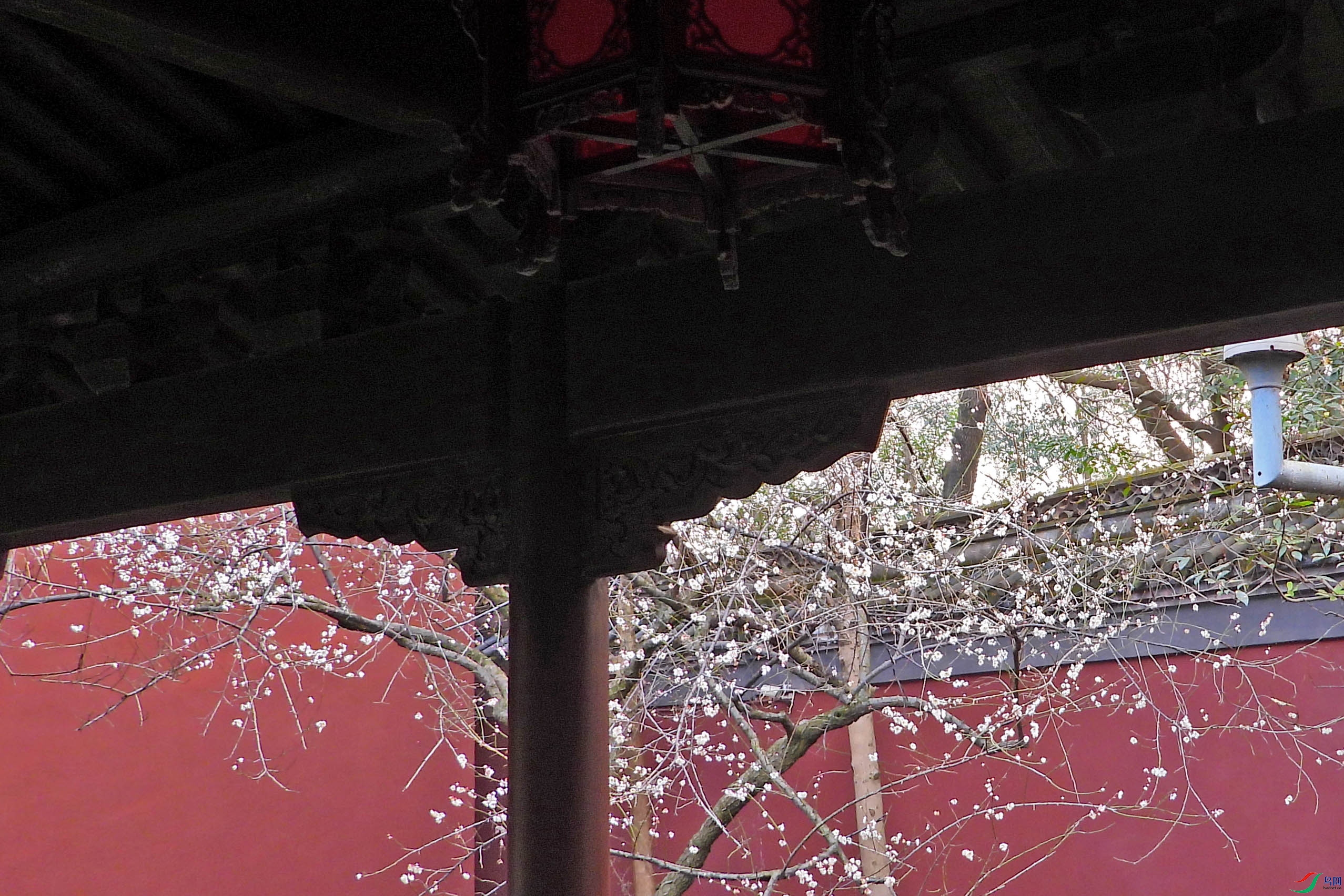 DSCN2618.JPG