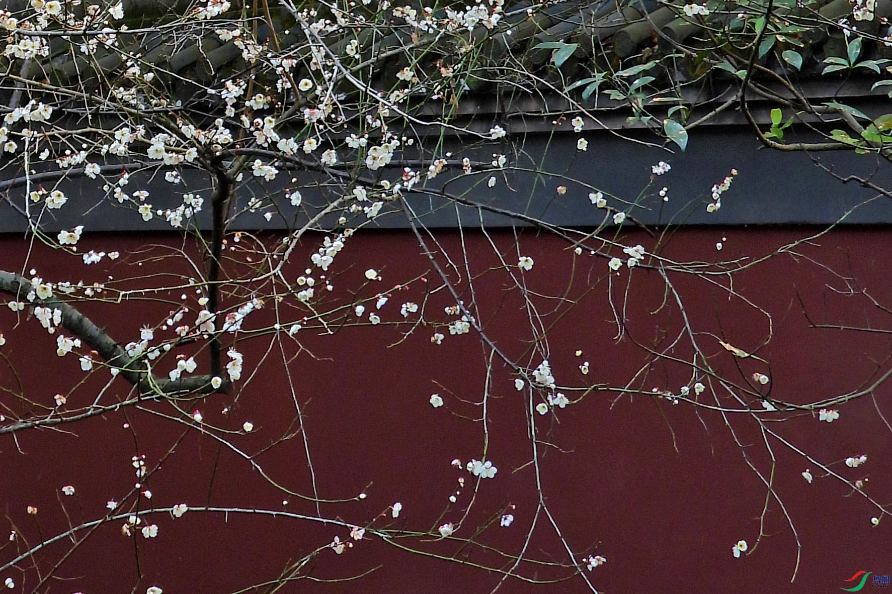 DSCN2620.JPG