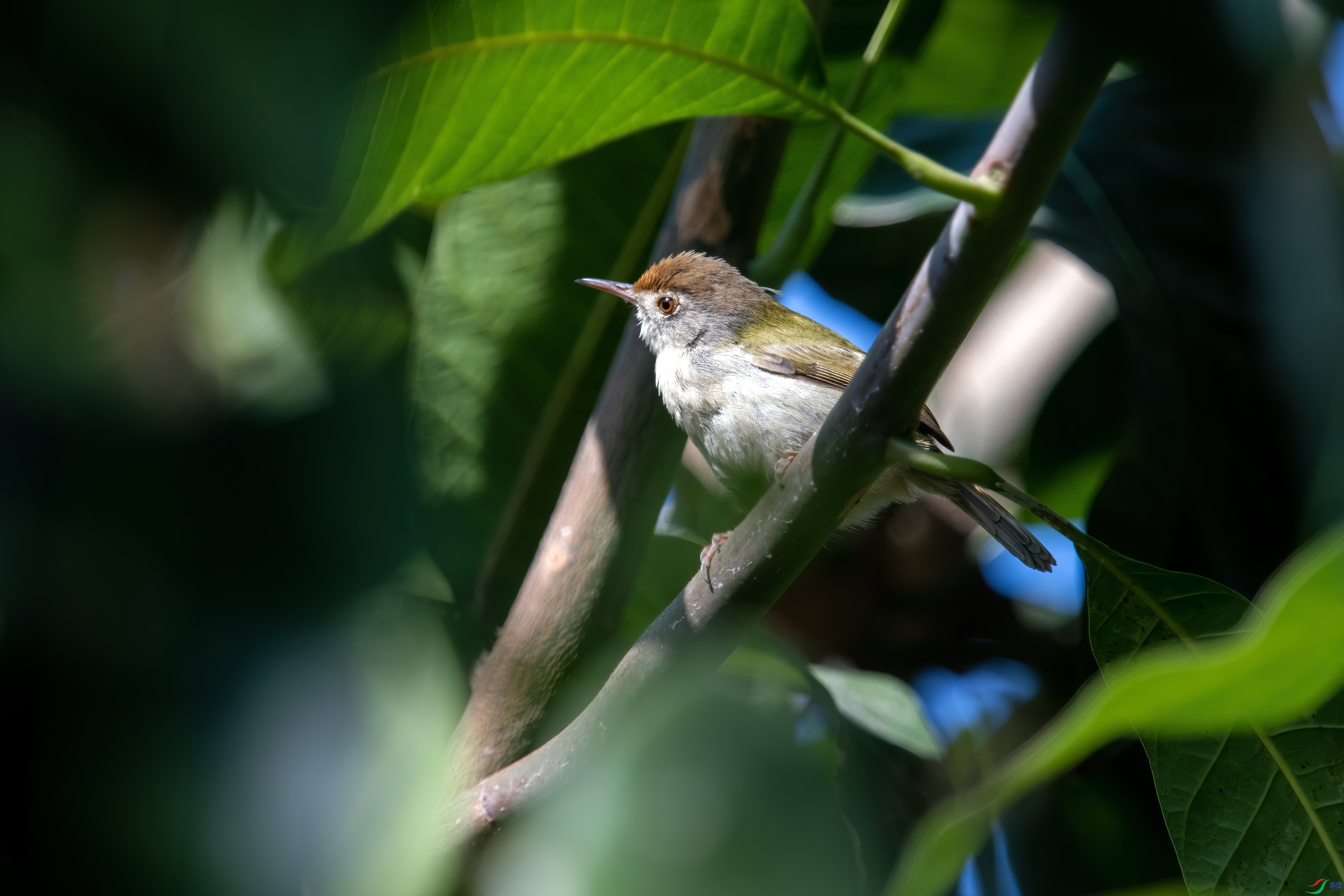 XJ0_2505 ����2.jpg