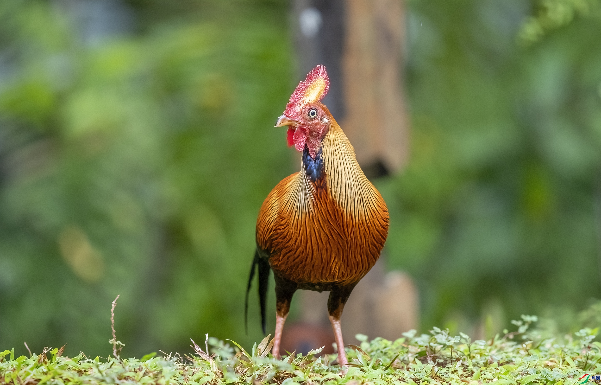 AC3I0375 ����.jpg