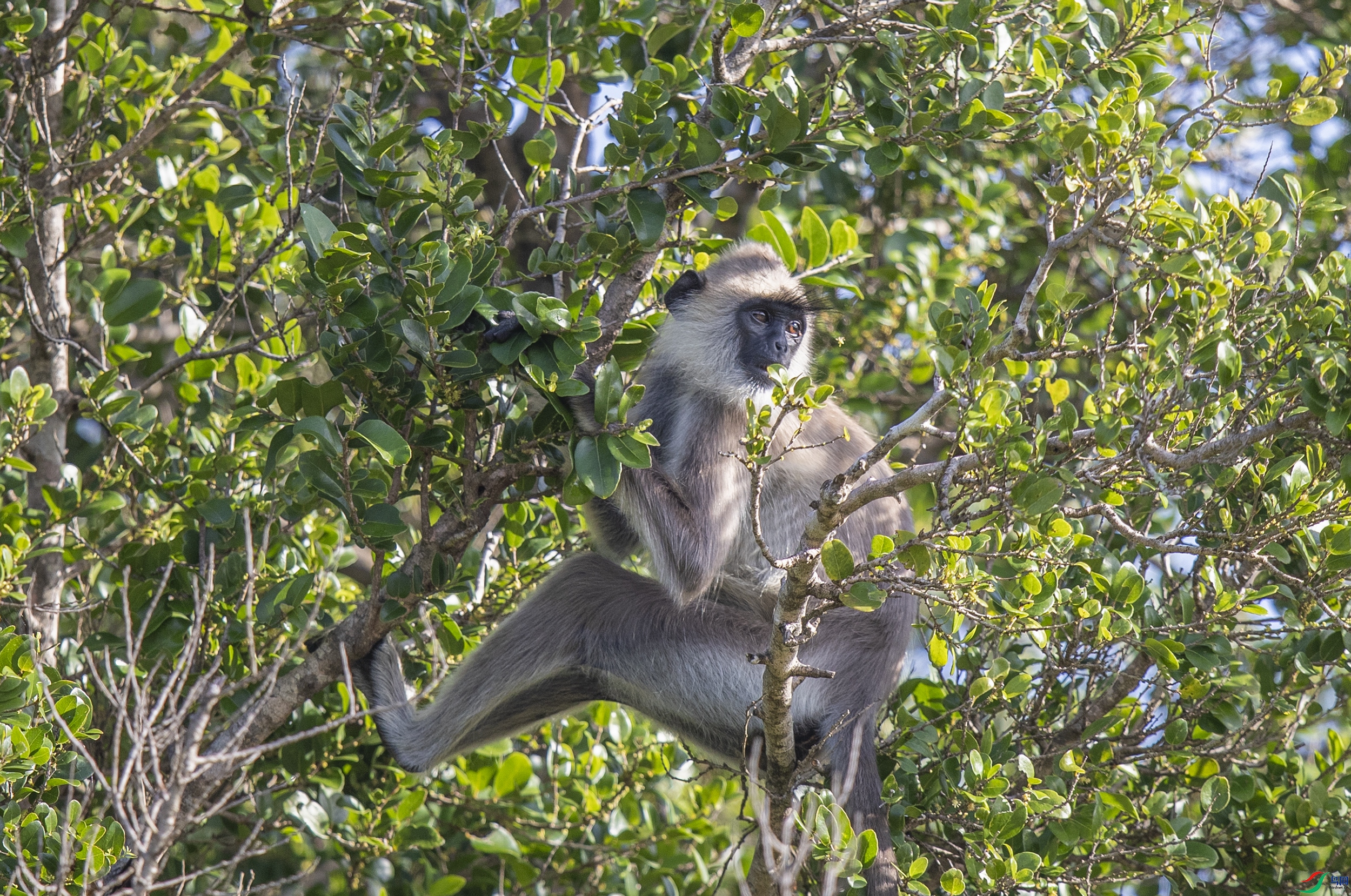 AC3I1214 ����.jpg