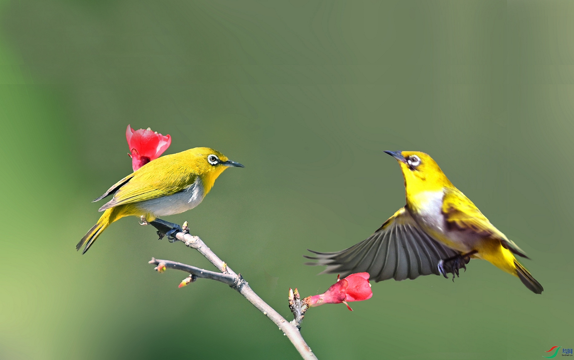 DSC_6562_����y.jpg