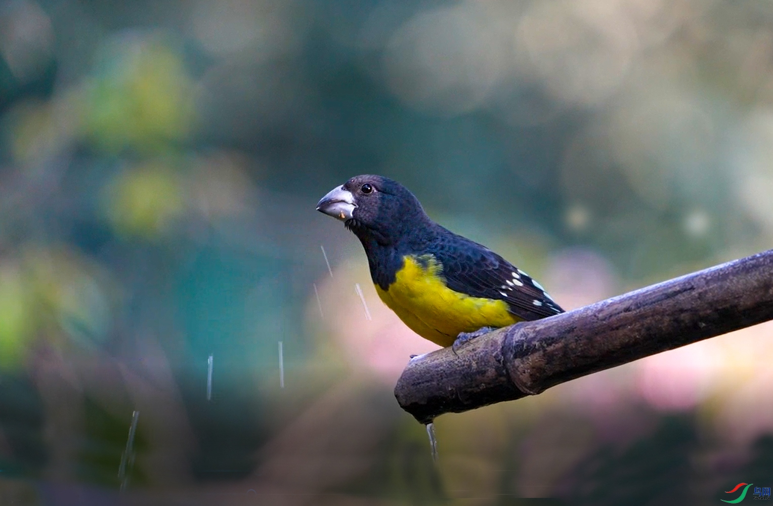 ΢��ͼƬ_20240129214730 ����.jpg