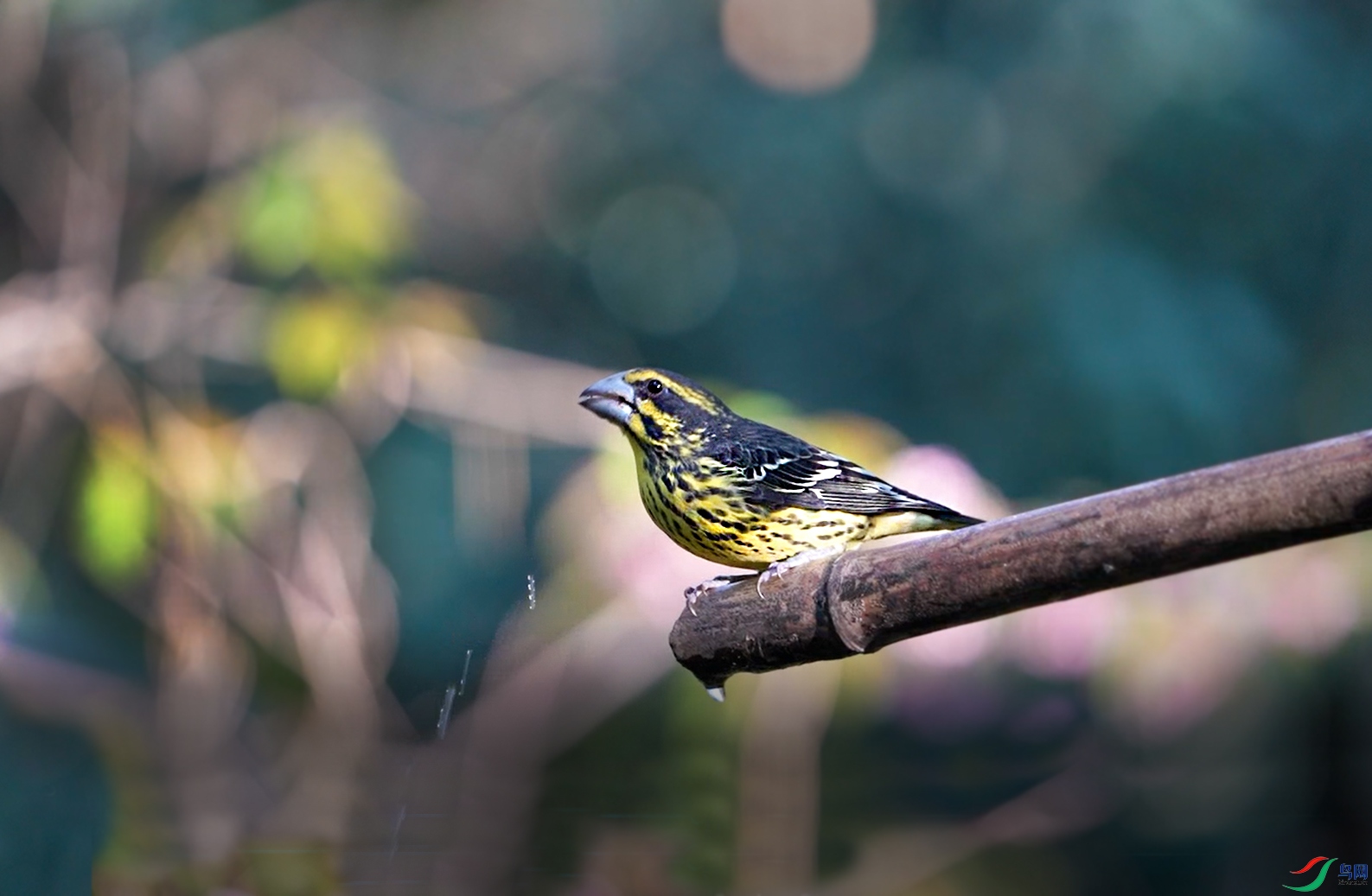 ΢��ͼƬ_20240129215108 ����.jpg