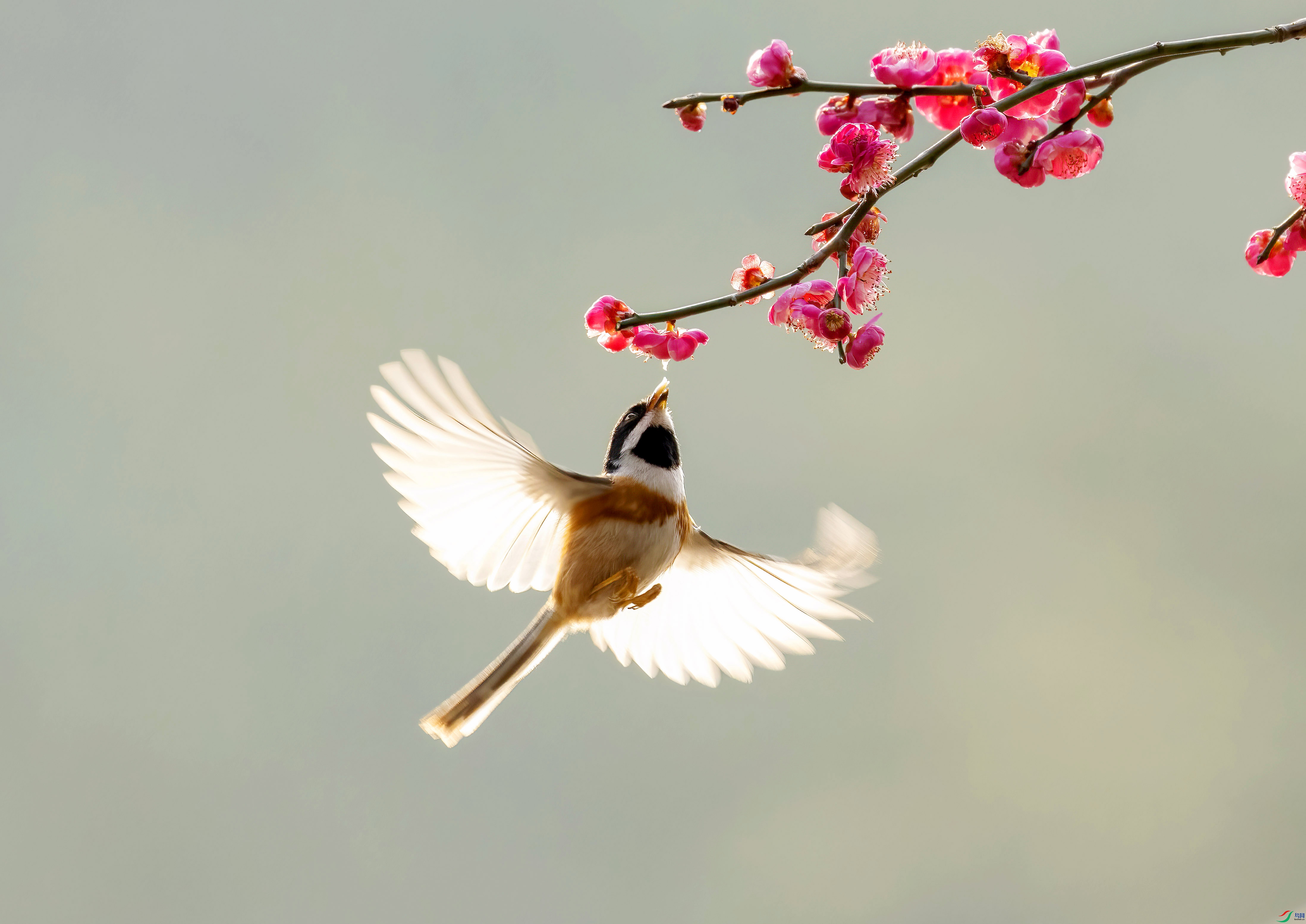 C87A3775 ���� 2.jpg