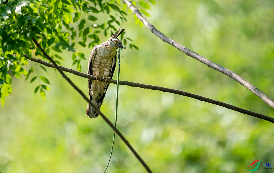 DSC_0299.png