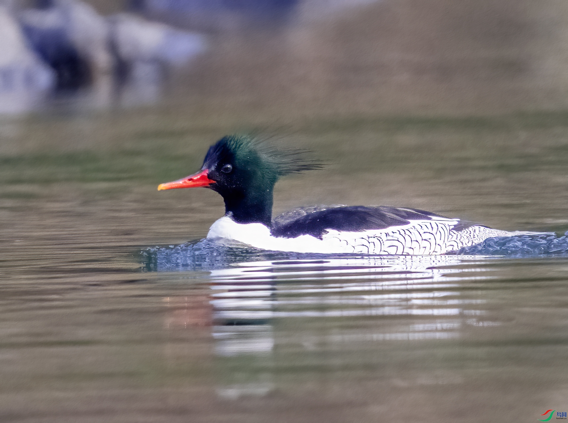 DSC_5368.jpg