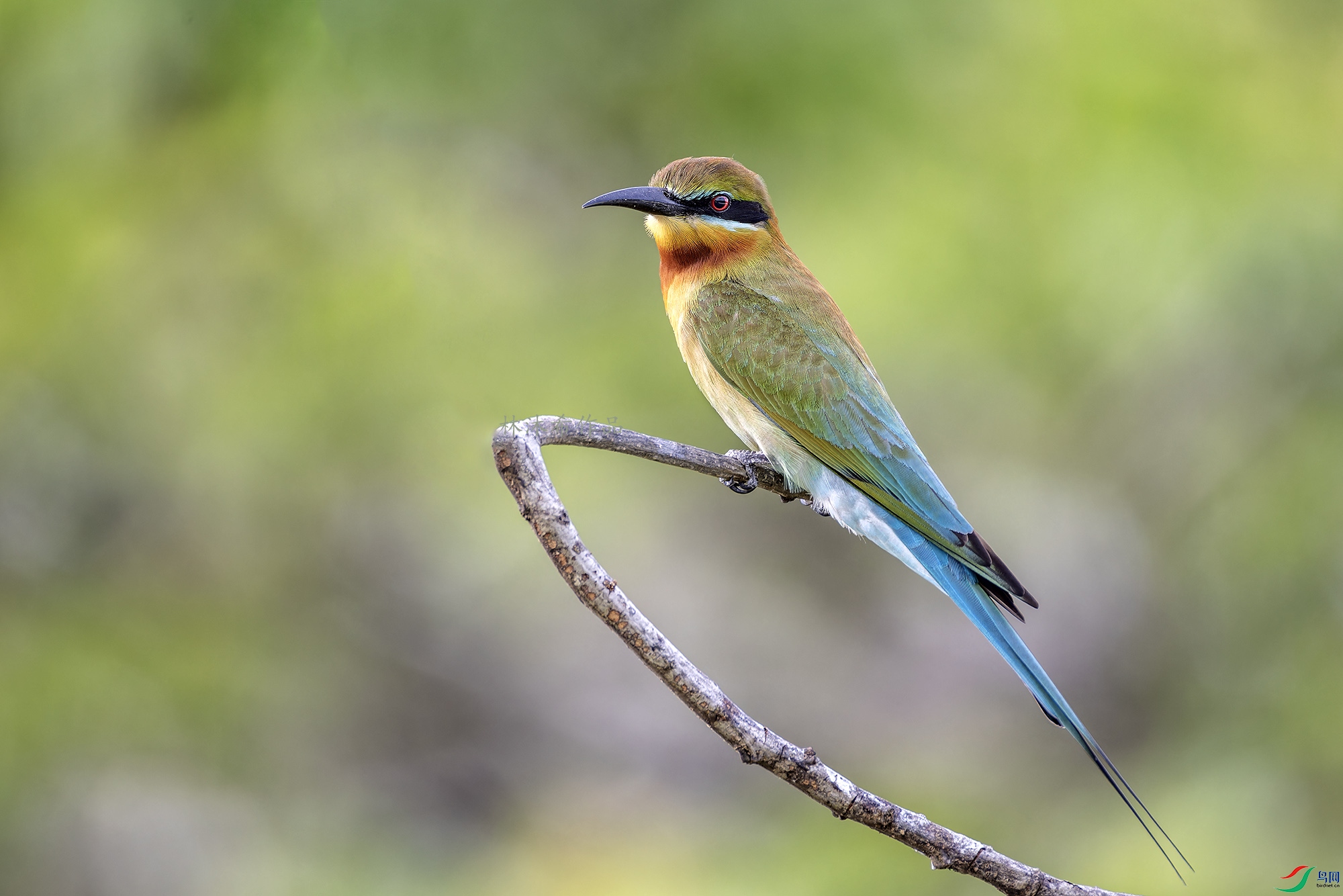 _97A0243-CR3 copy.jpg