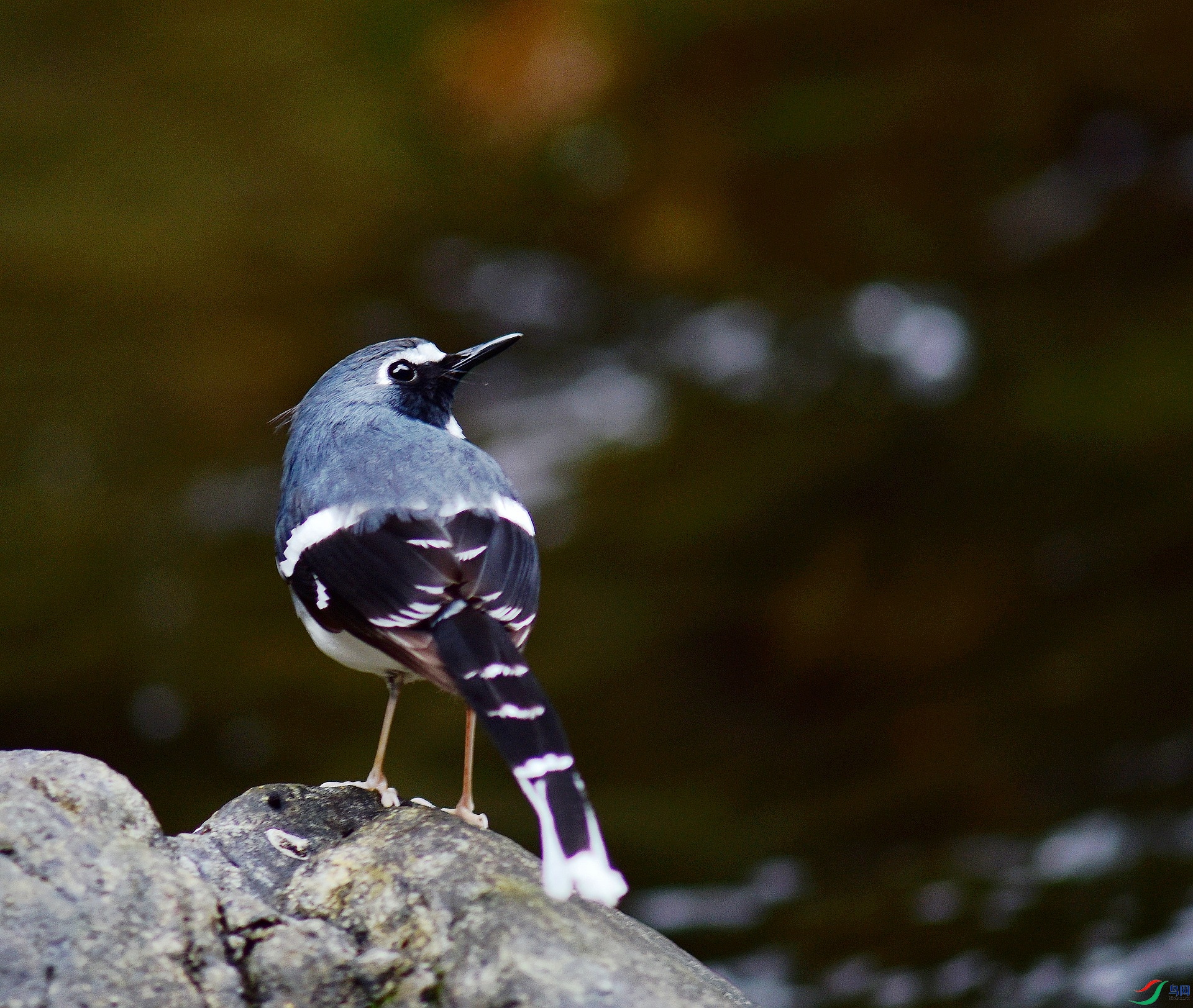 D8I_7995.jpg
