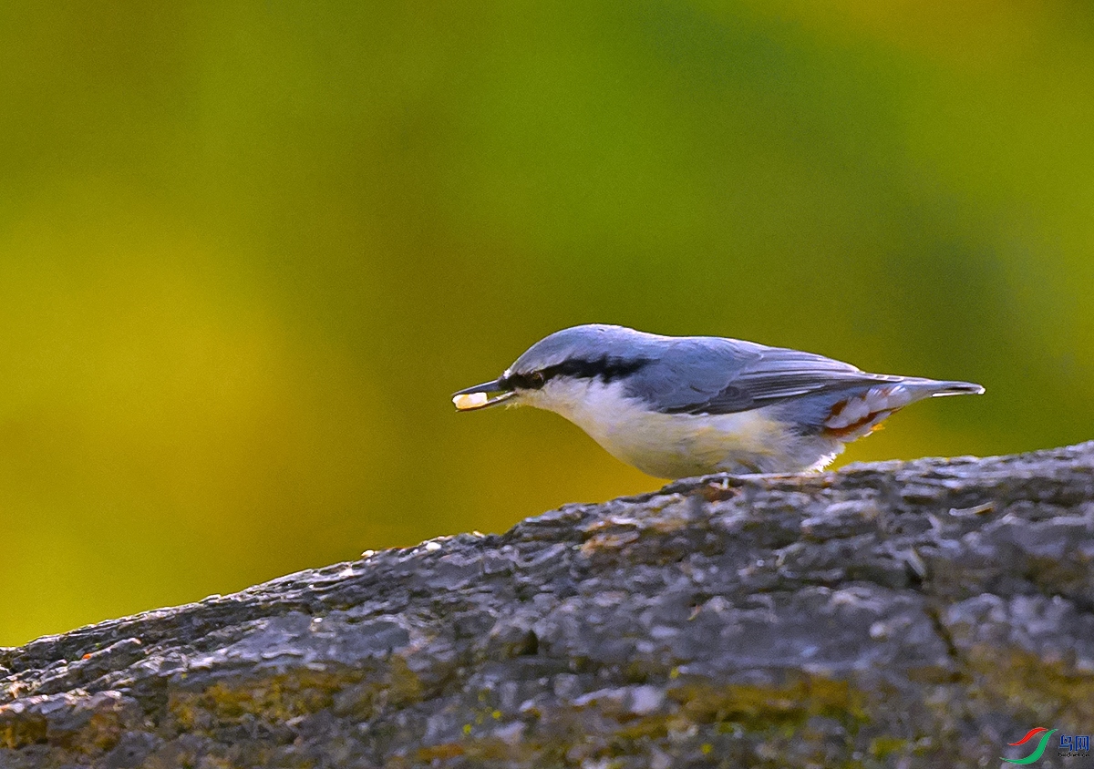 DSC_1679-1.jpg