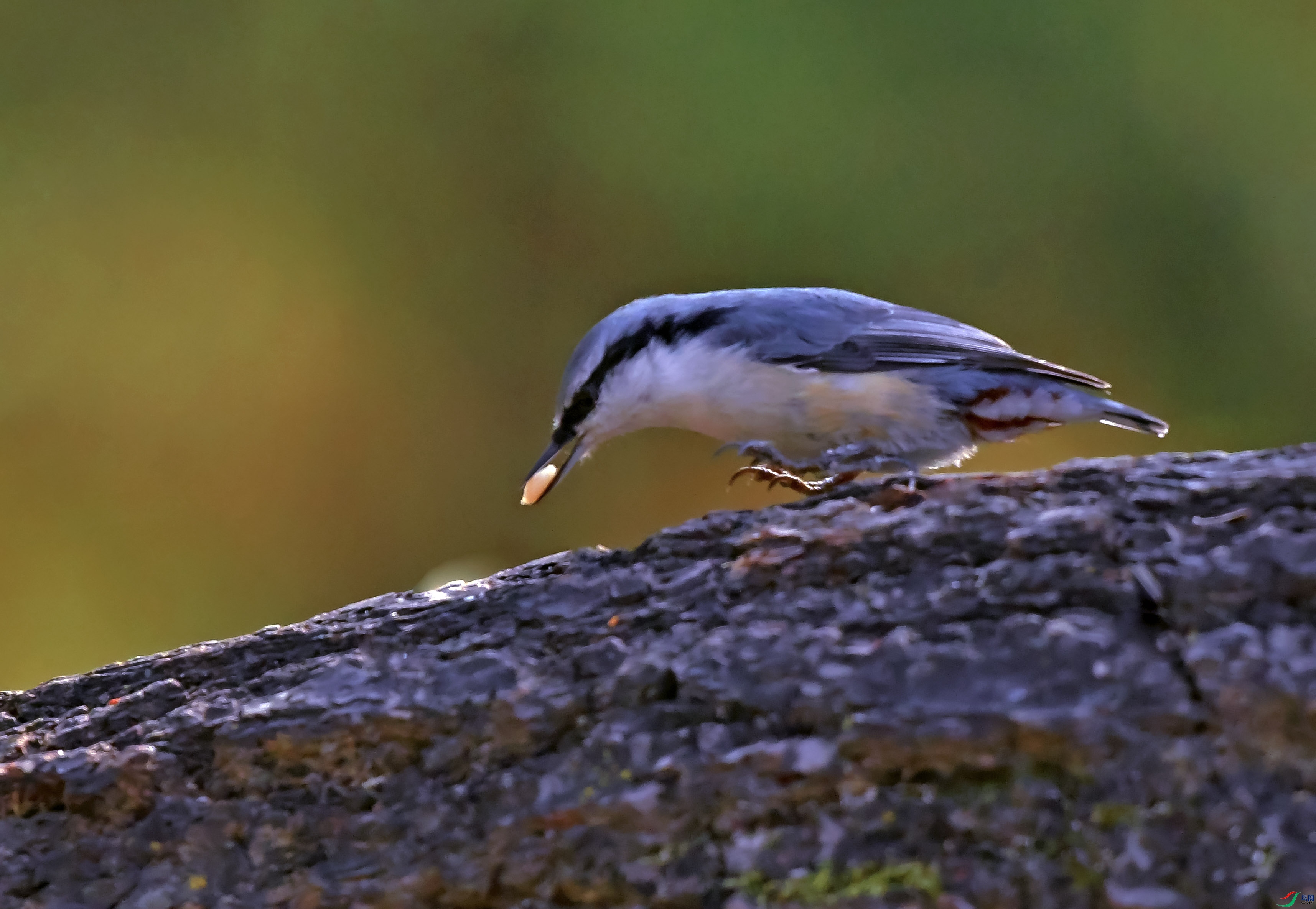 DSC_1680.JPG