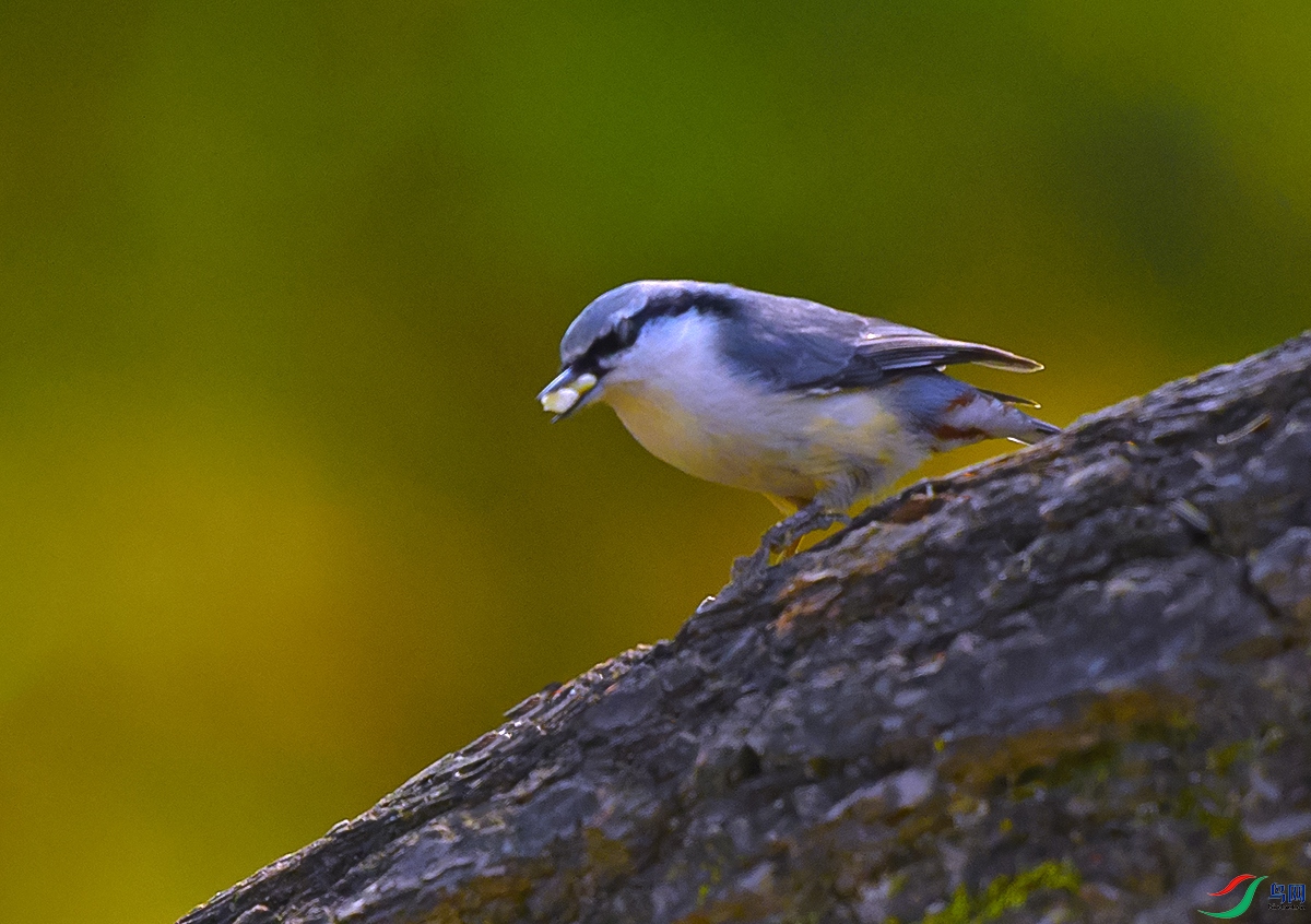 DSC_1685.JPG