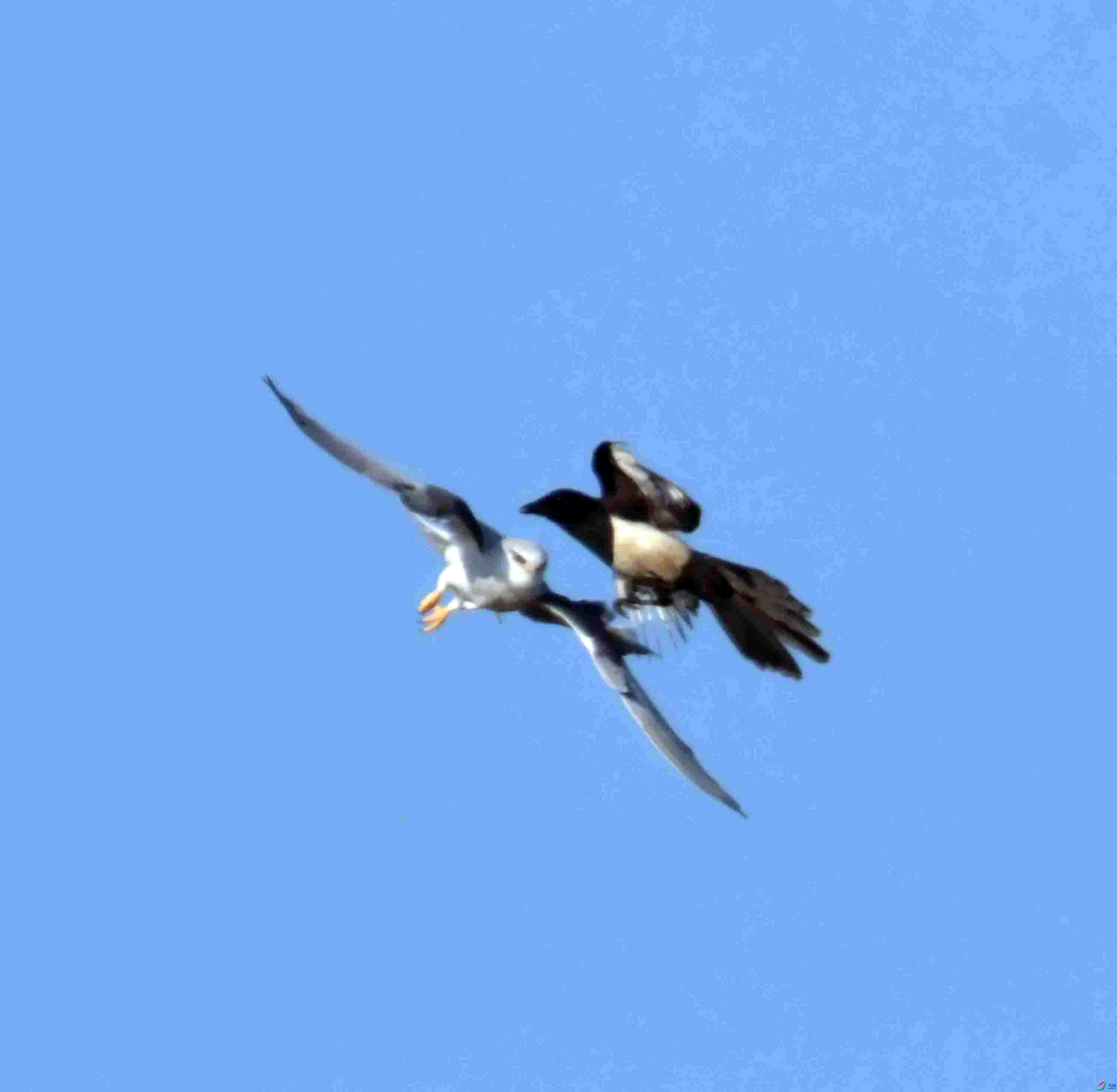 DSC_1139.JPG