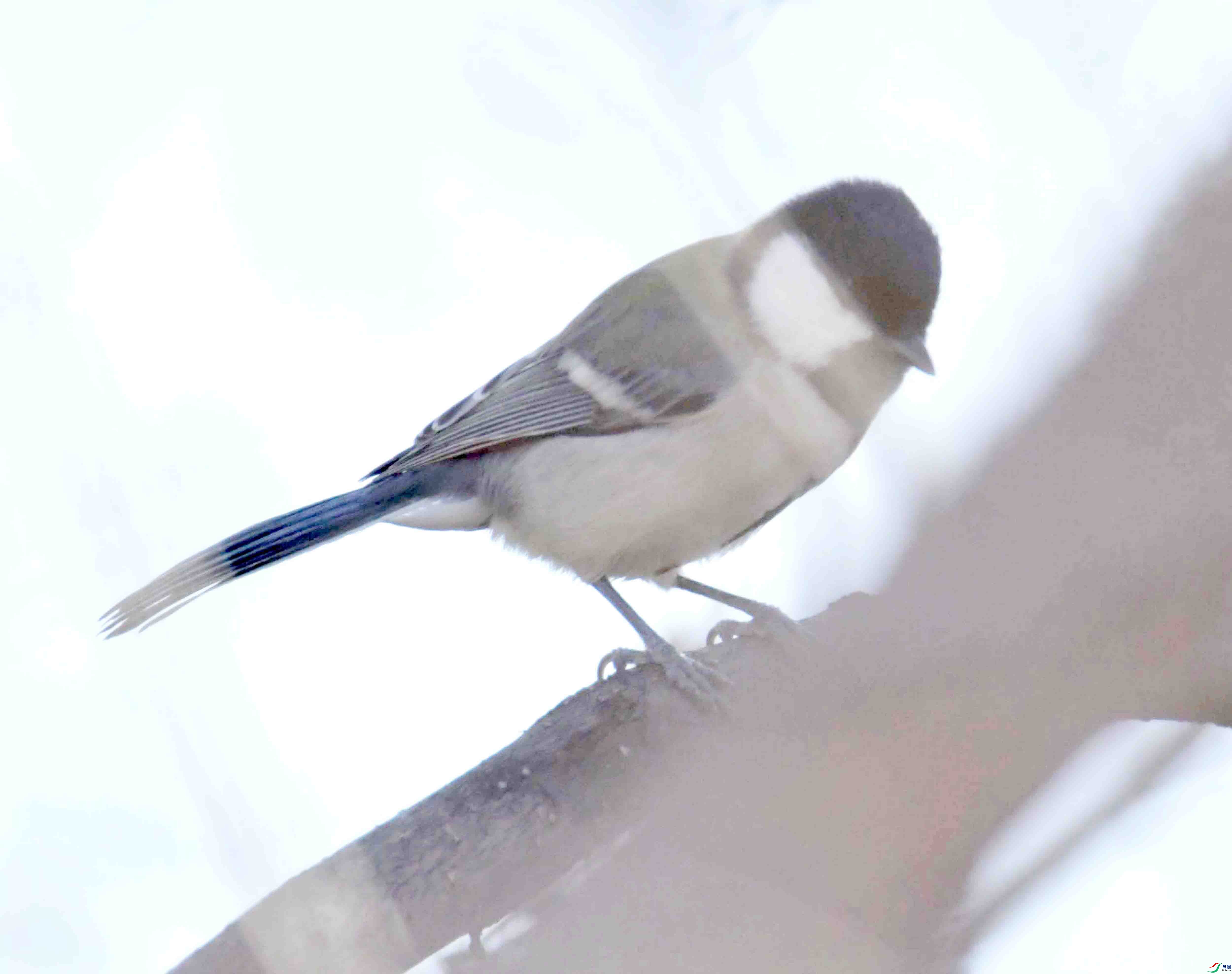 DSC_5793.JPG