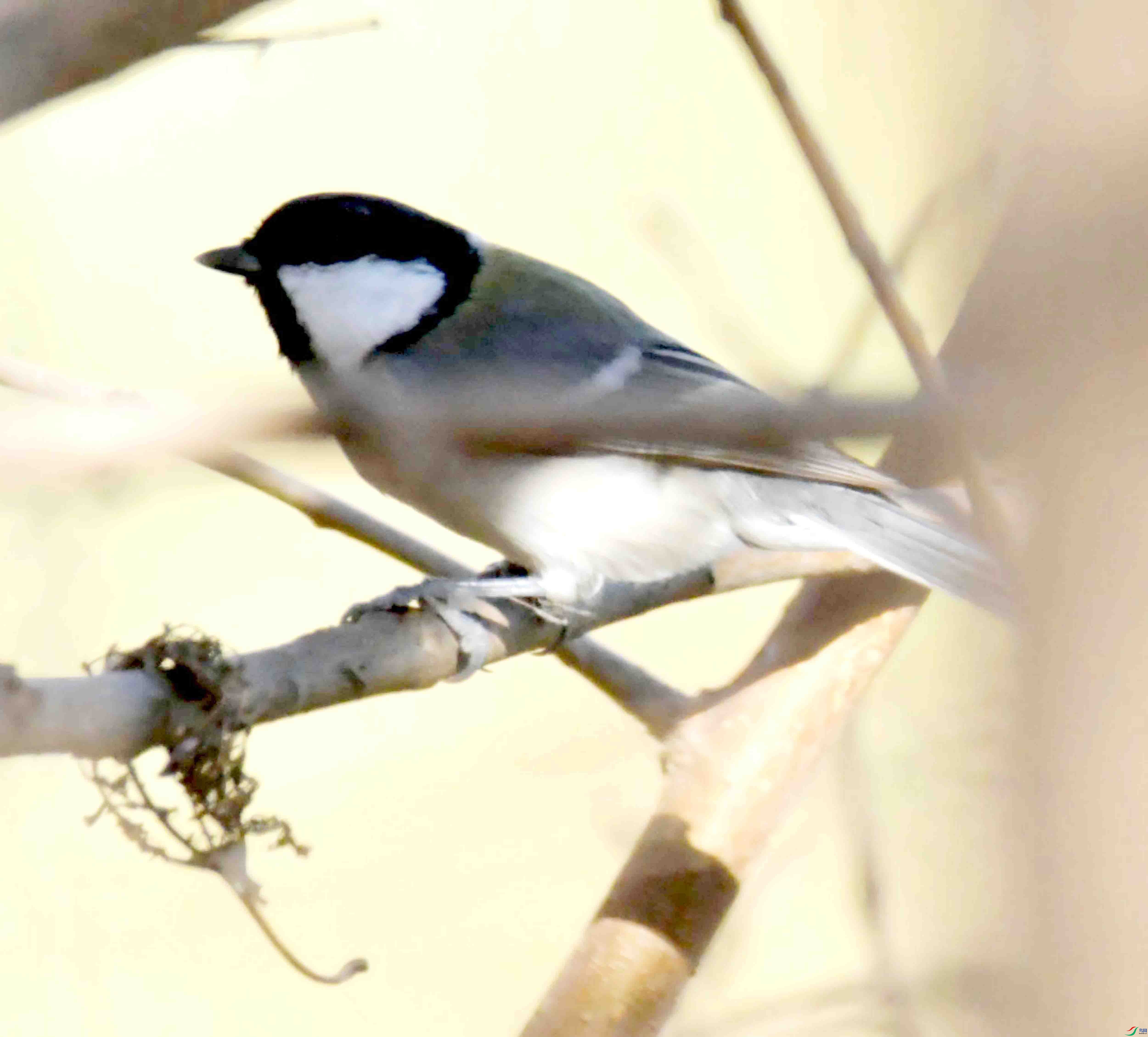 DSC_5801.JPG
