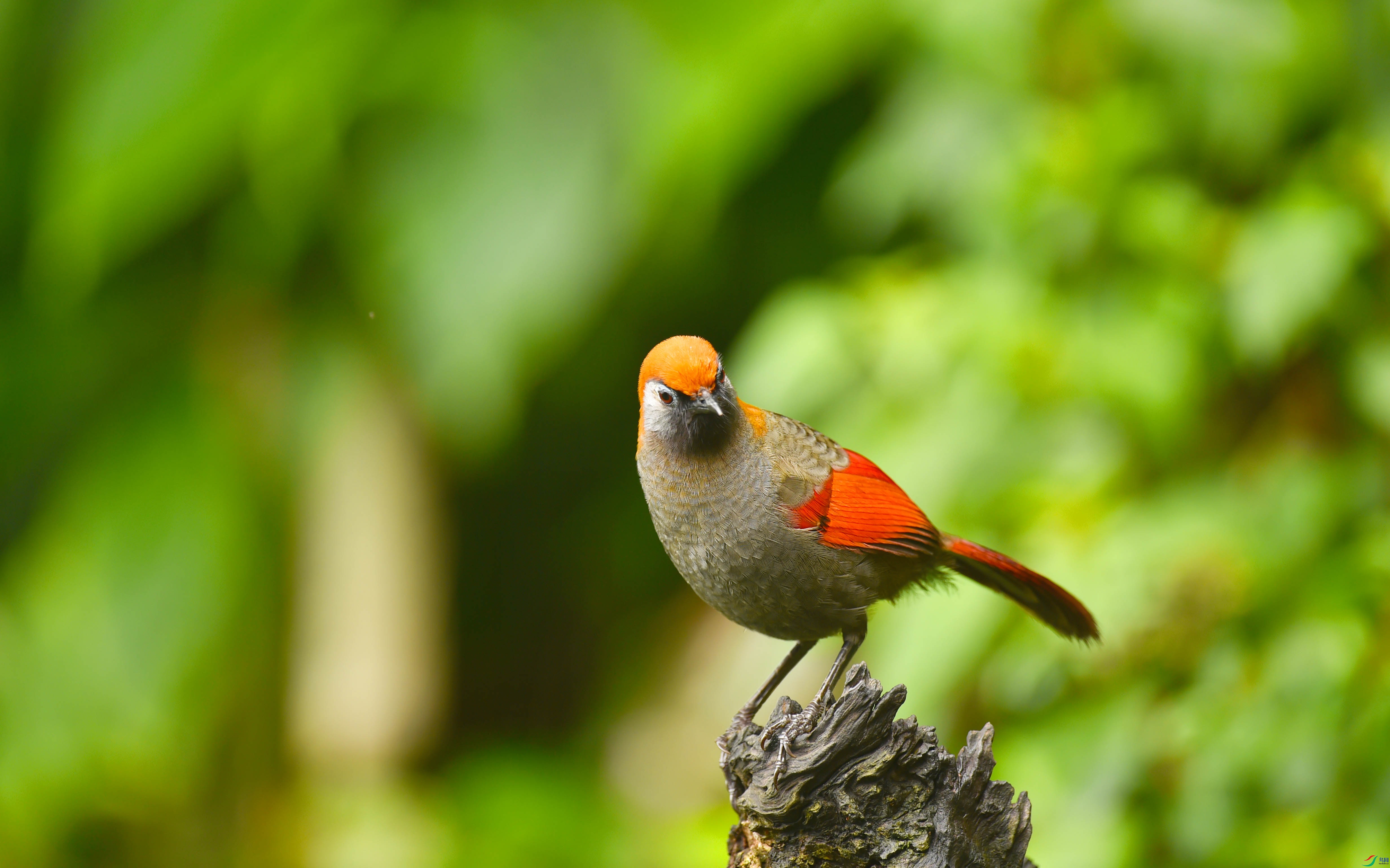 DSC_0019 ����.jpg