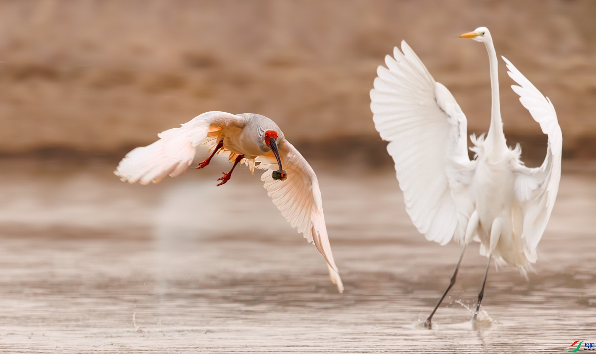 ����  ���� ѧ�� ��һ.jpg