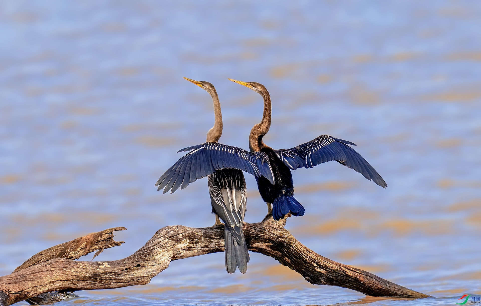 ����  ���� �������� ��һ.jpg