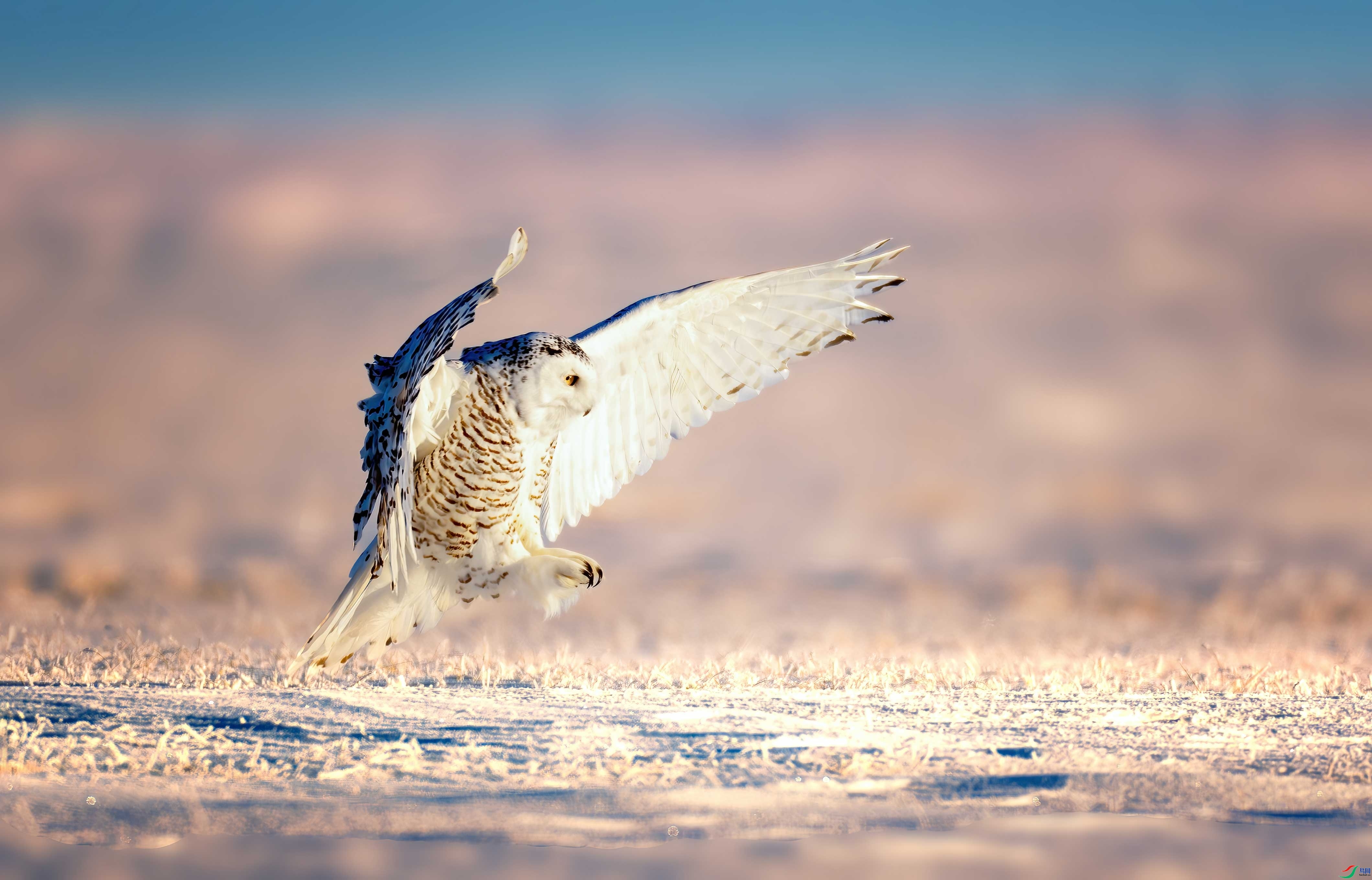 2023��12��18���ں���������  ����  �ܶ�.jpg