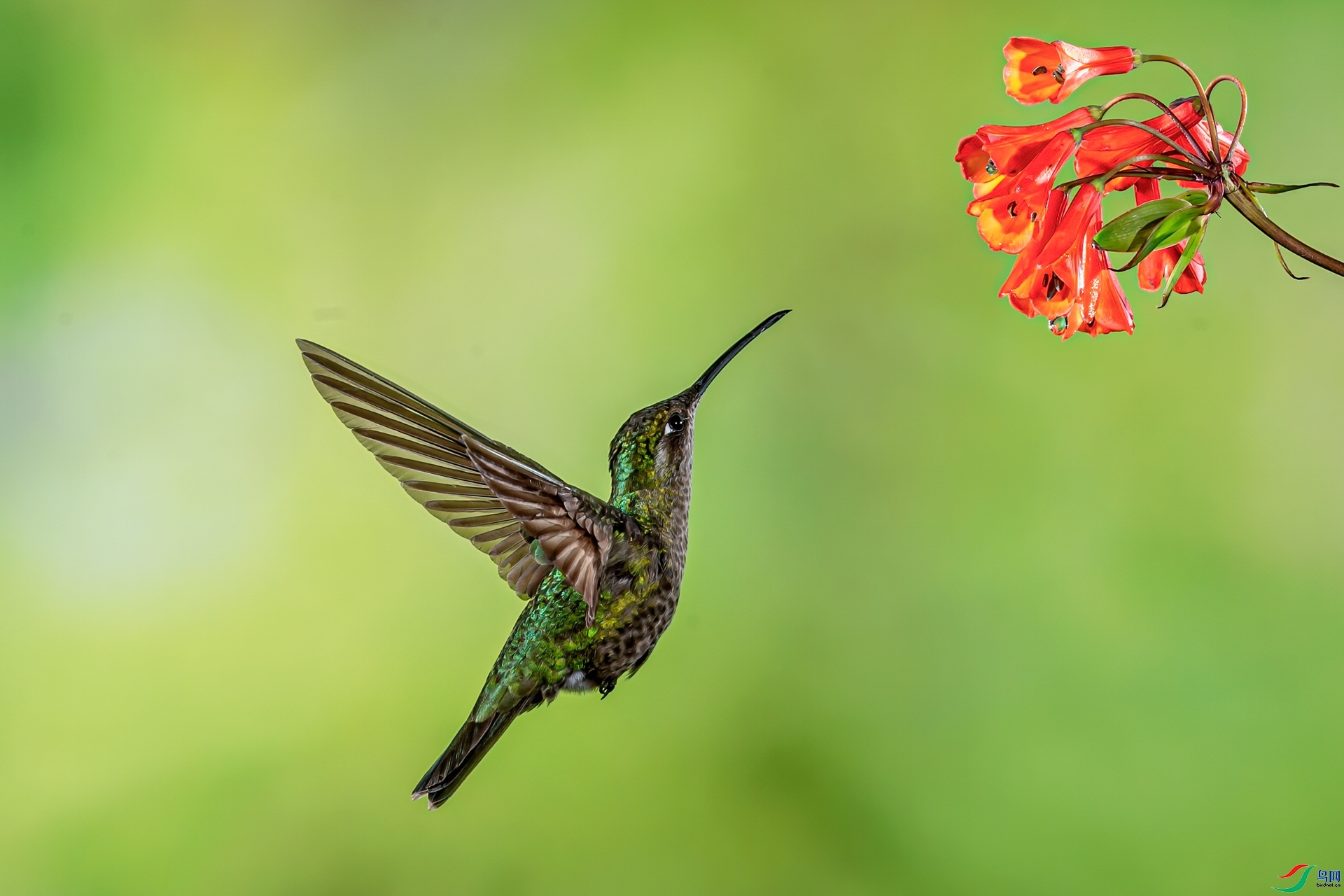 ���贺������������  ���� ���� �ܶ�.jpg