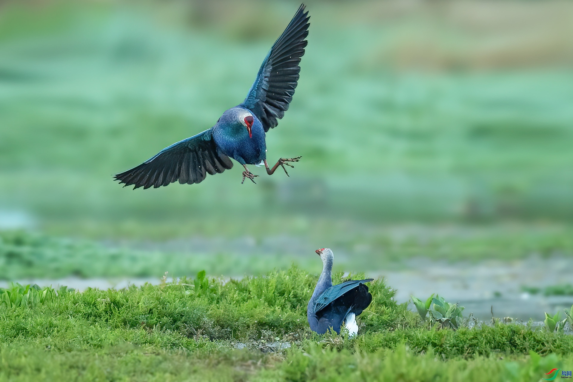 ���� ���� ��ѧ��  �ܶ�.jpg