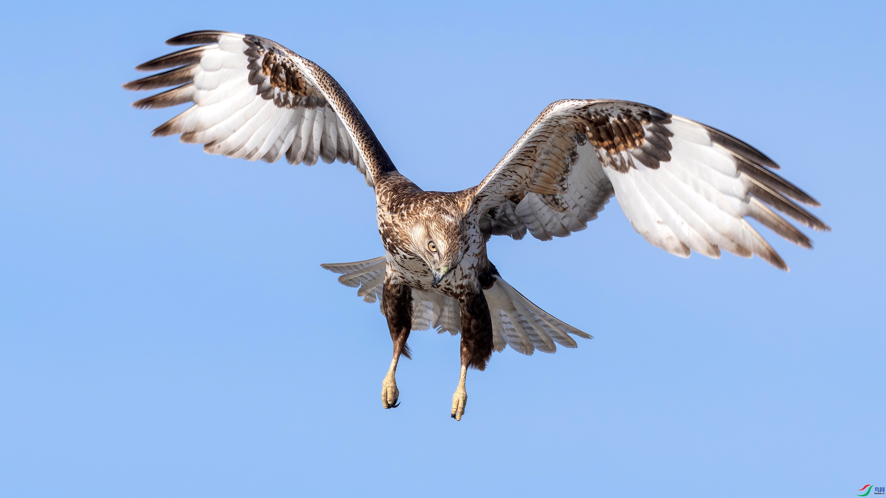 ����  ���� ������  �ܶ�.jpg