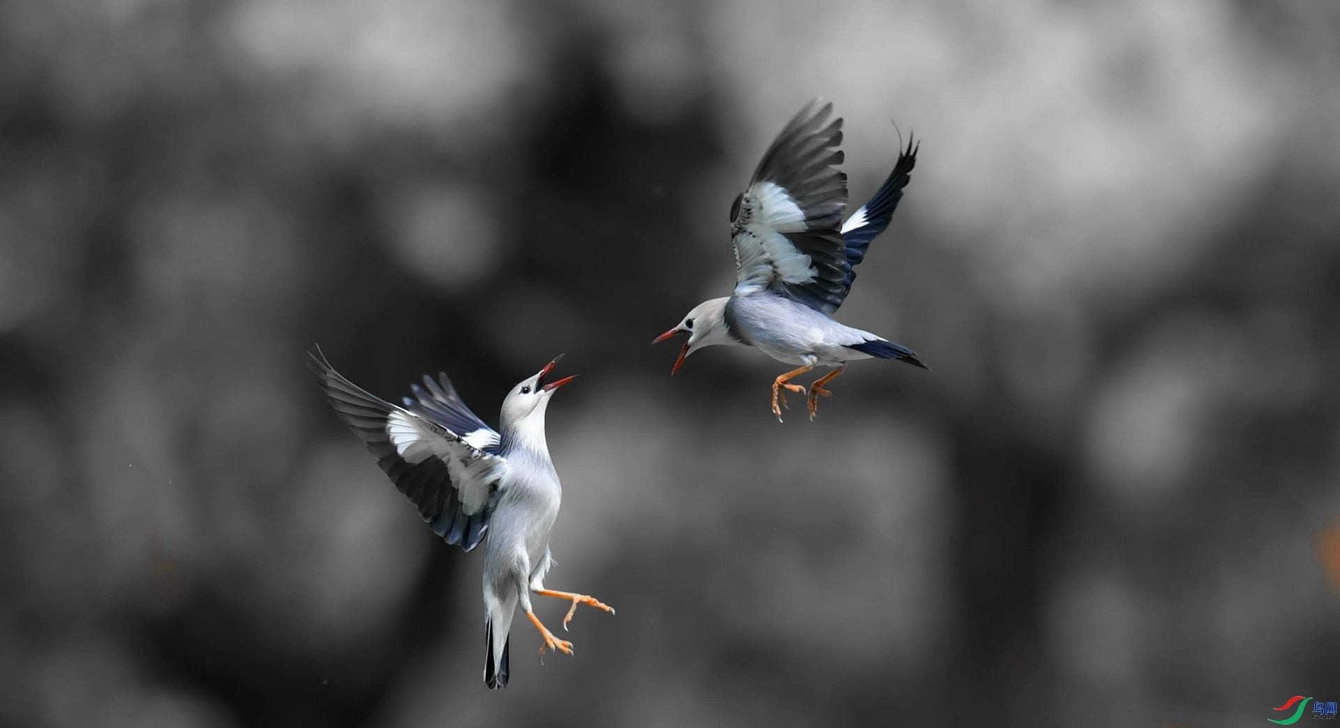 ����ã�  ���� ����뻳 ����.jpg