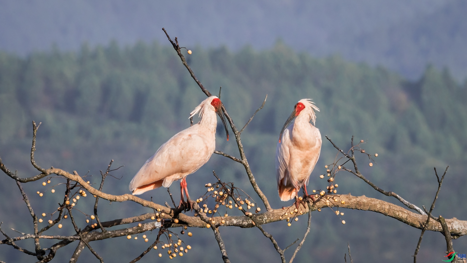 �Ի�  ���� ��ͥ�Ų�yes  ����.jpg