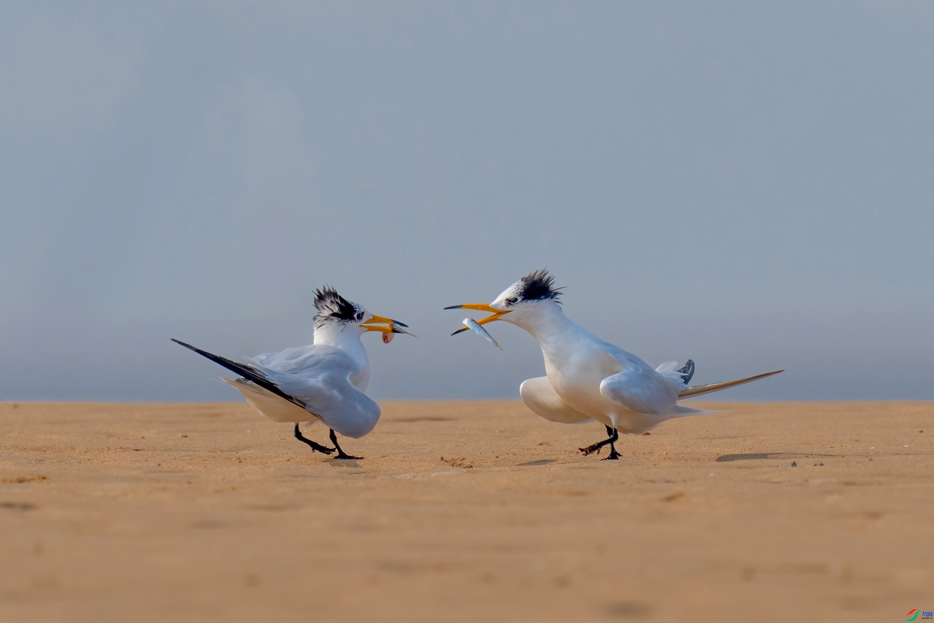 ��ҫ ���� ���� ����.jpg