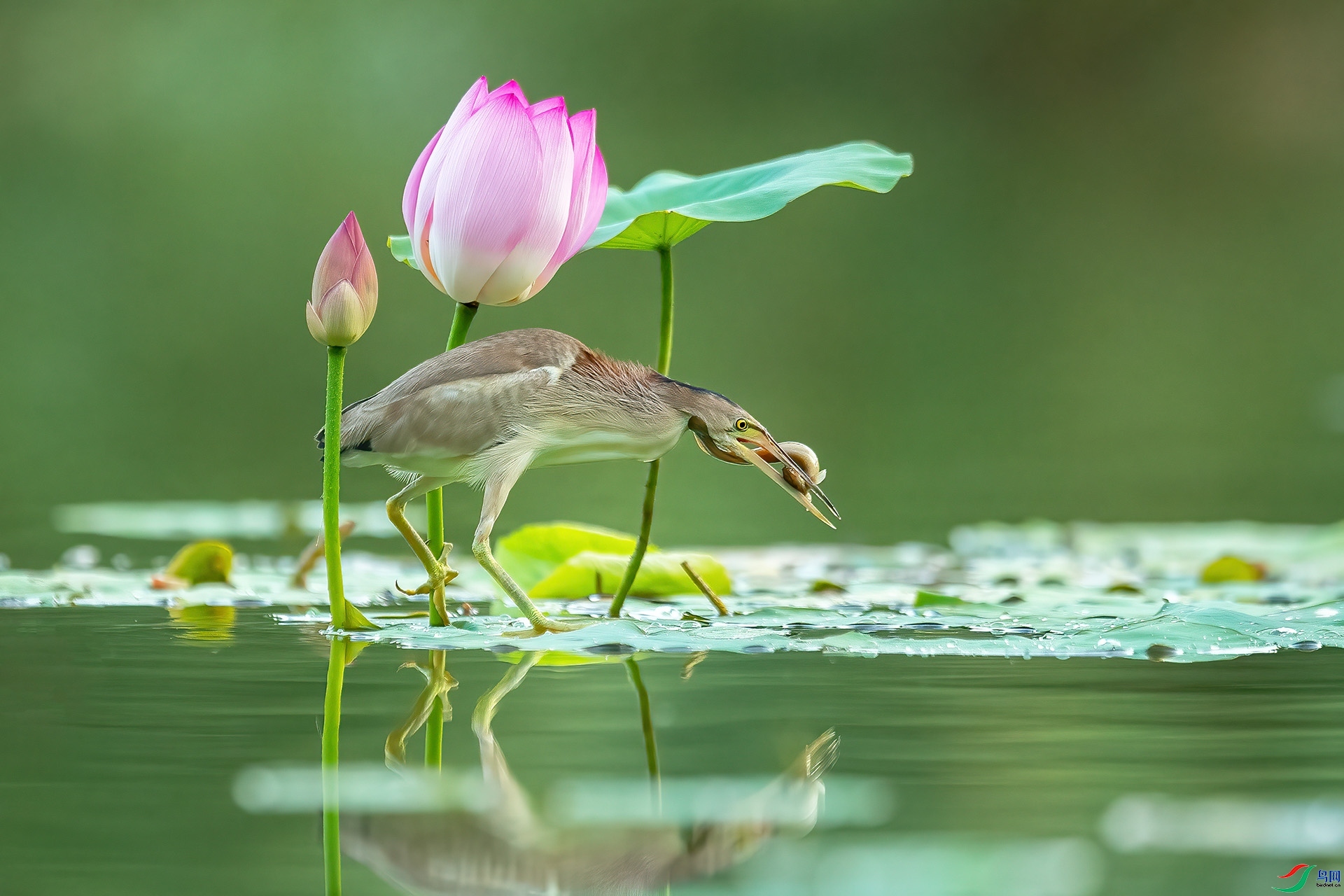 �������� ���� ��ѧ�� ����.jpg