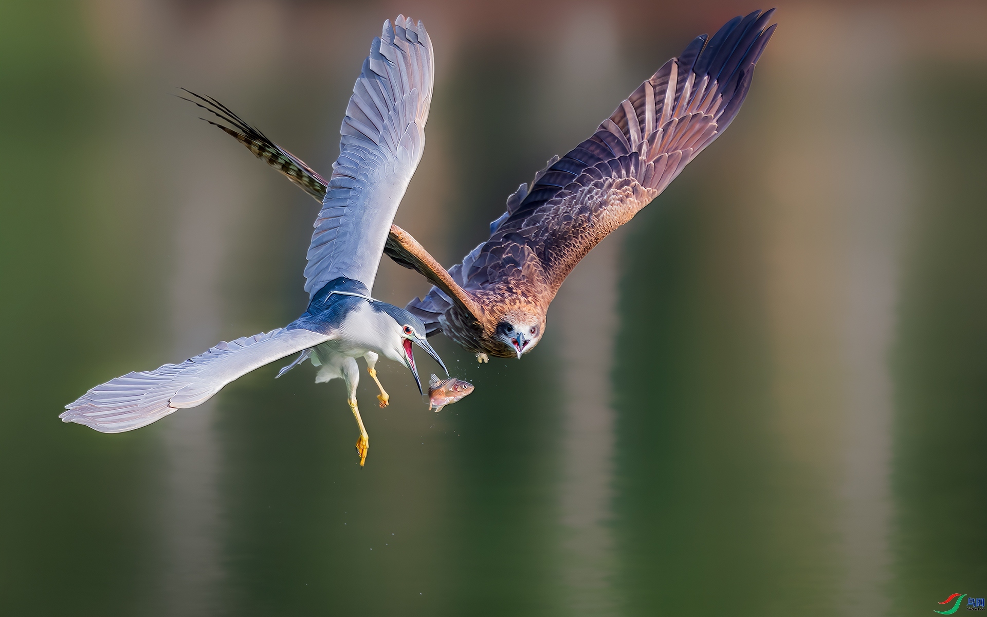 ˭��Ӯ��  ���� ����Ӱ ����.jpg