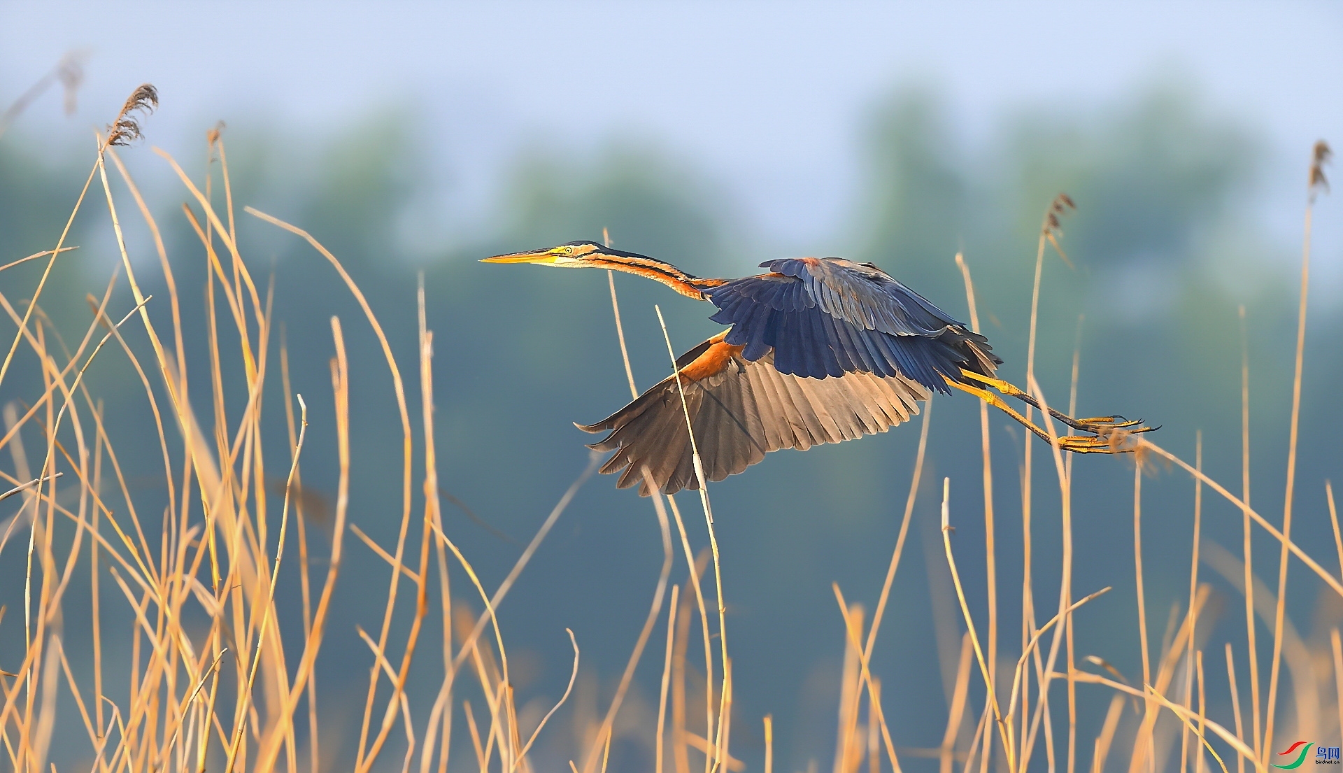 ����  ���� ���� ����.jpg