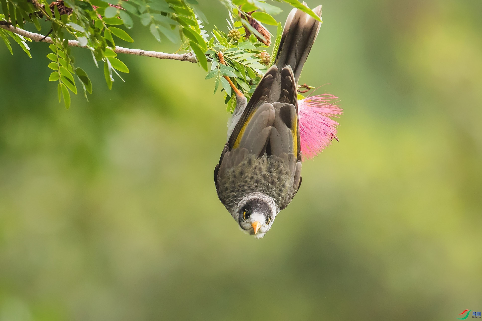 ���ҽ���  ���� ɽɽɽ ����.jpg