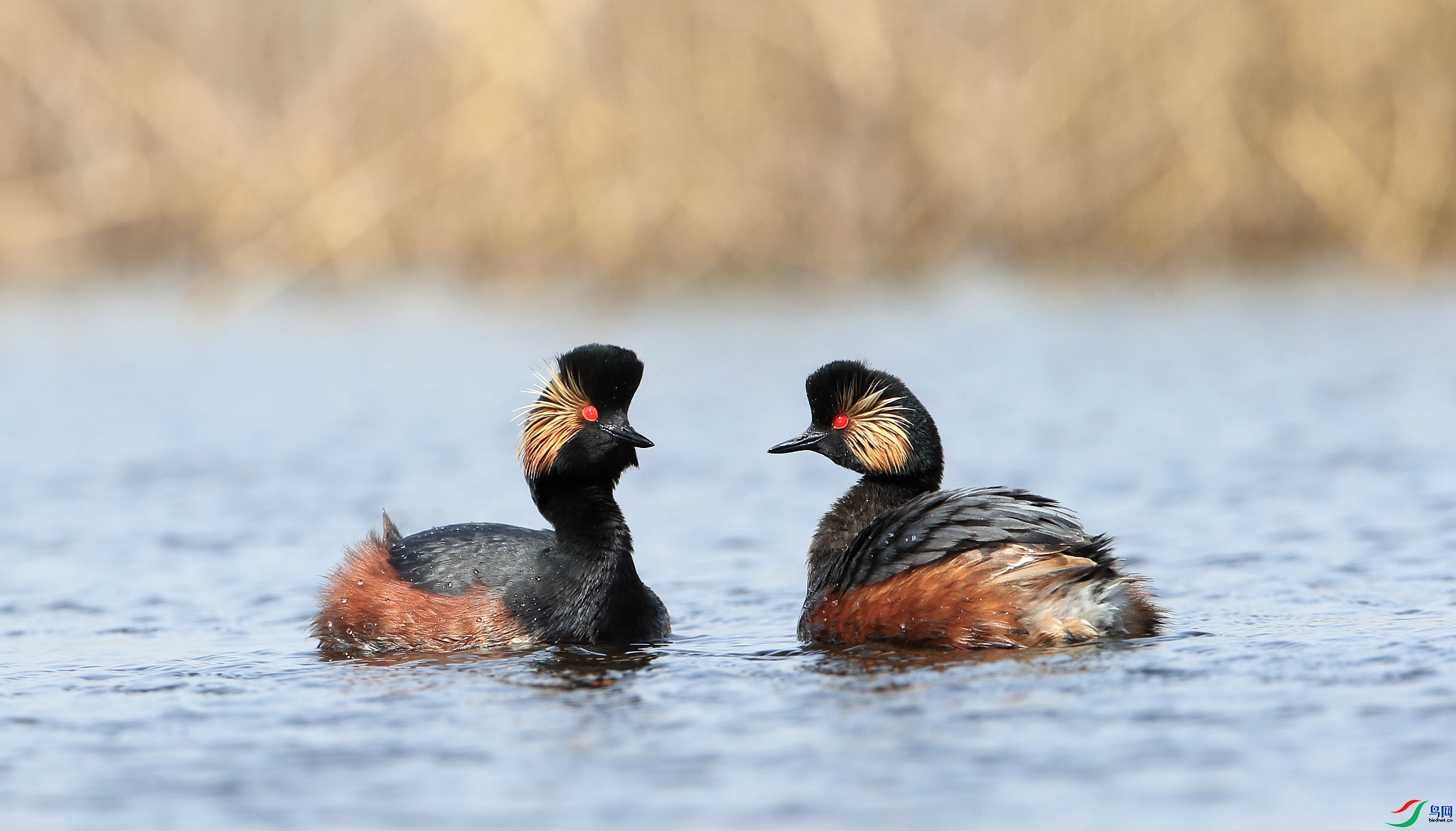 �����Լ��  ���� ����.jpg