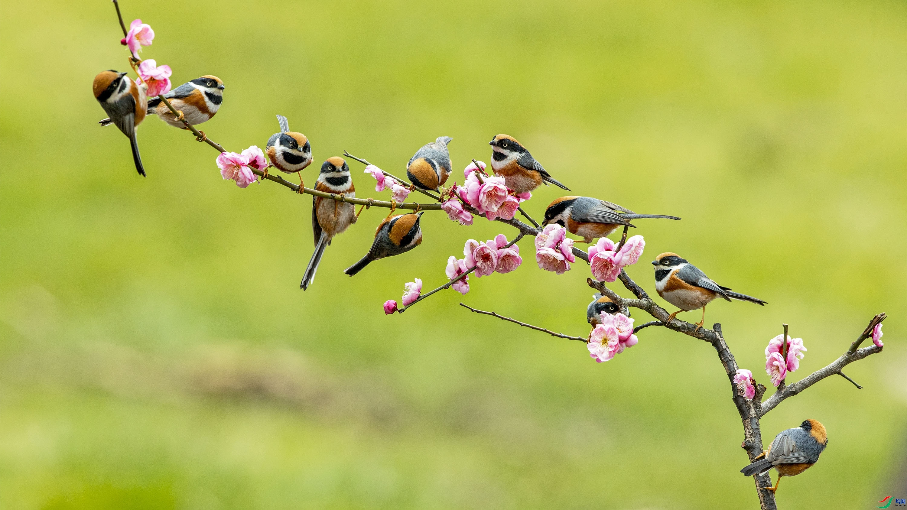 �ջ���  ���� wh�ϳ� ����.jpg