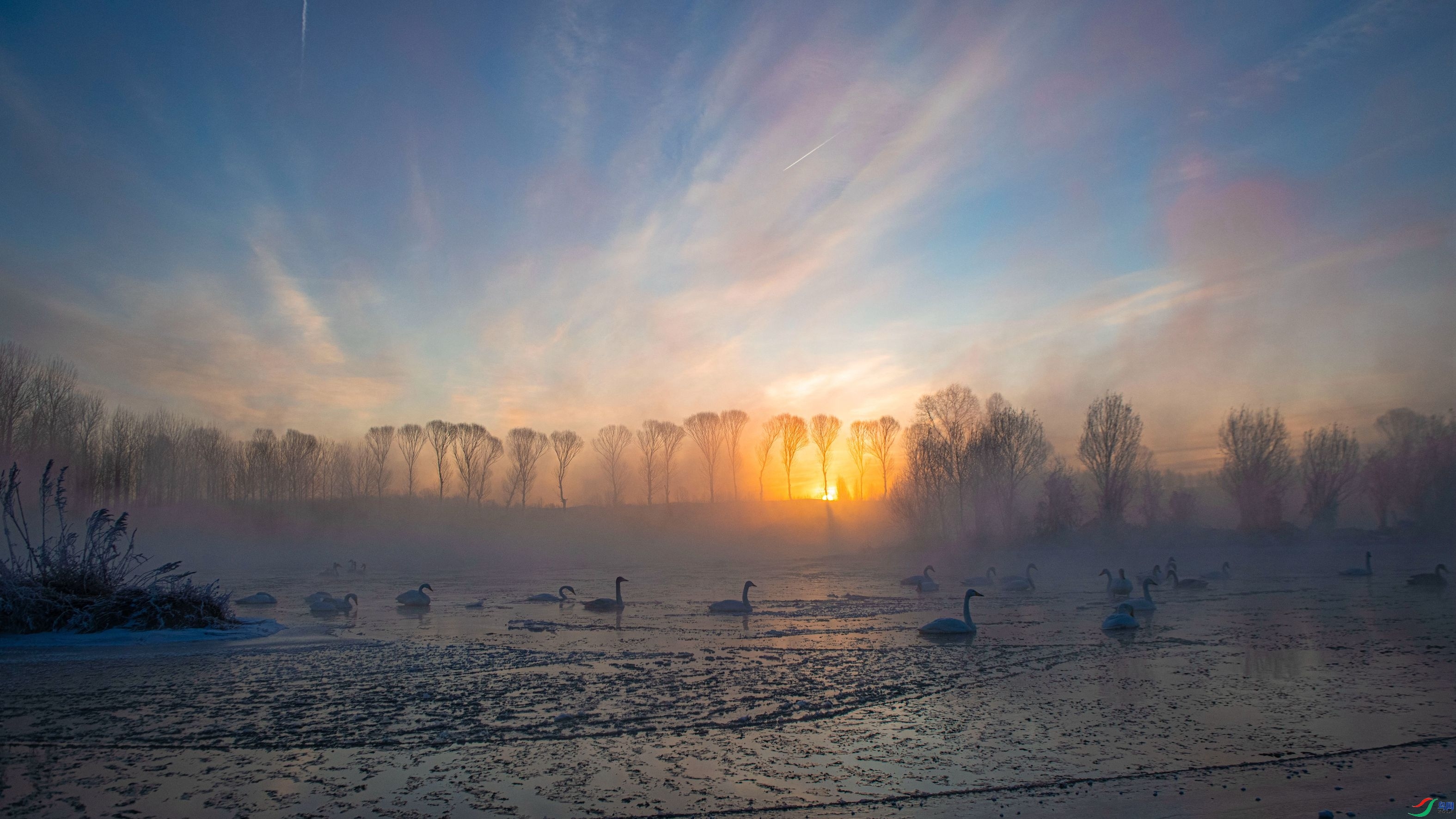 �Ʊ�֮��  ���� �����ү ����.jpg