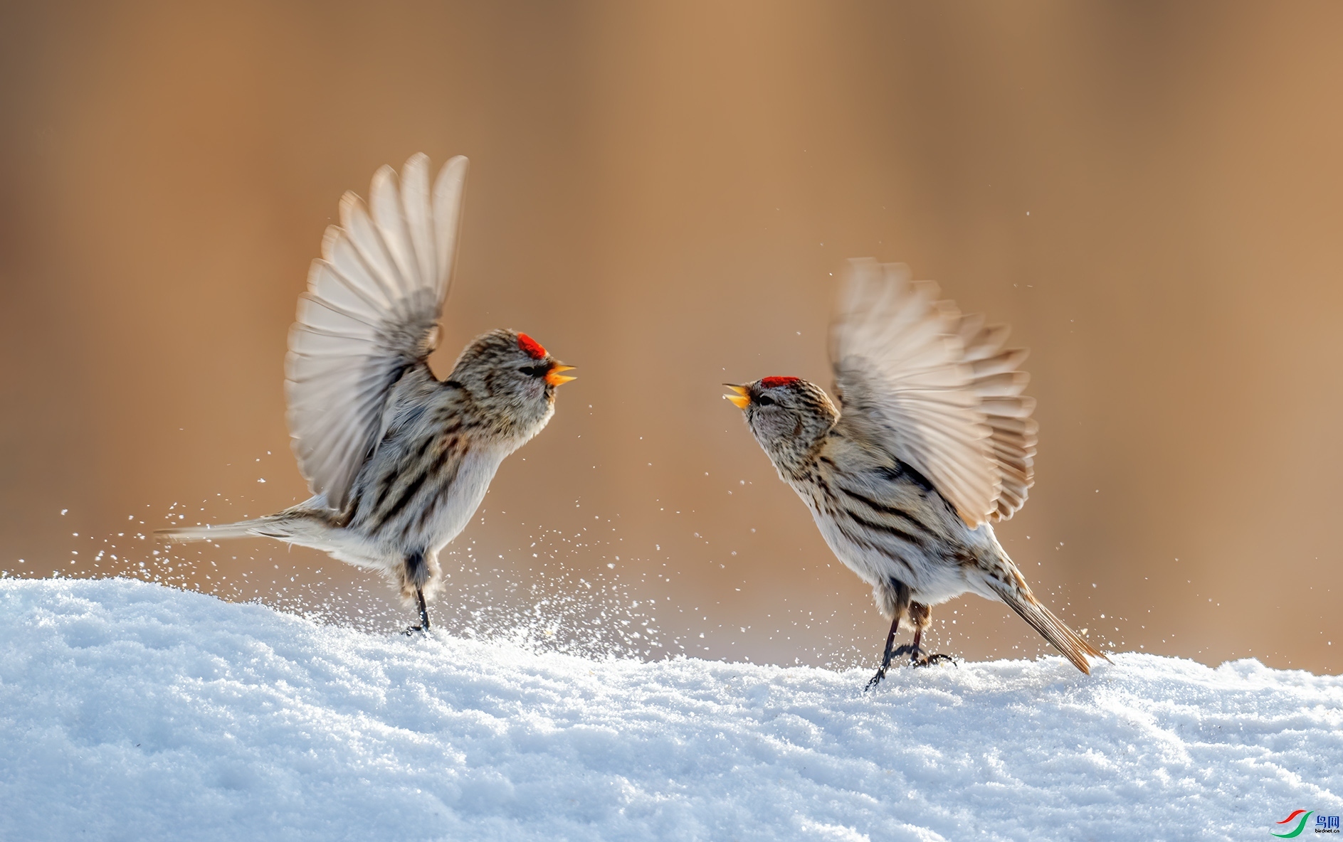 ����  ���� ��������  ����.jpg