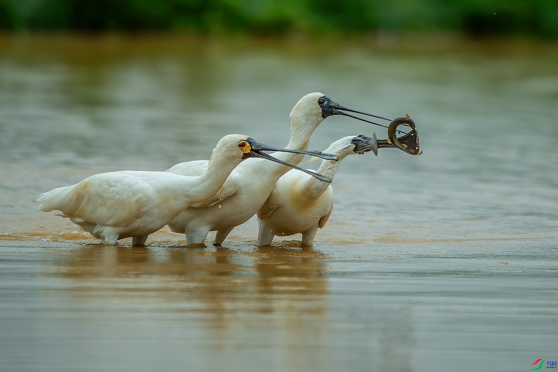 ��������  ���� ��ѧ�� ����.jpg