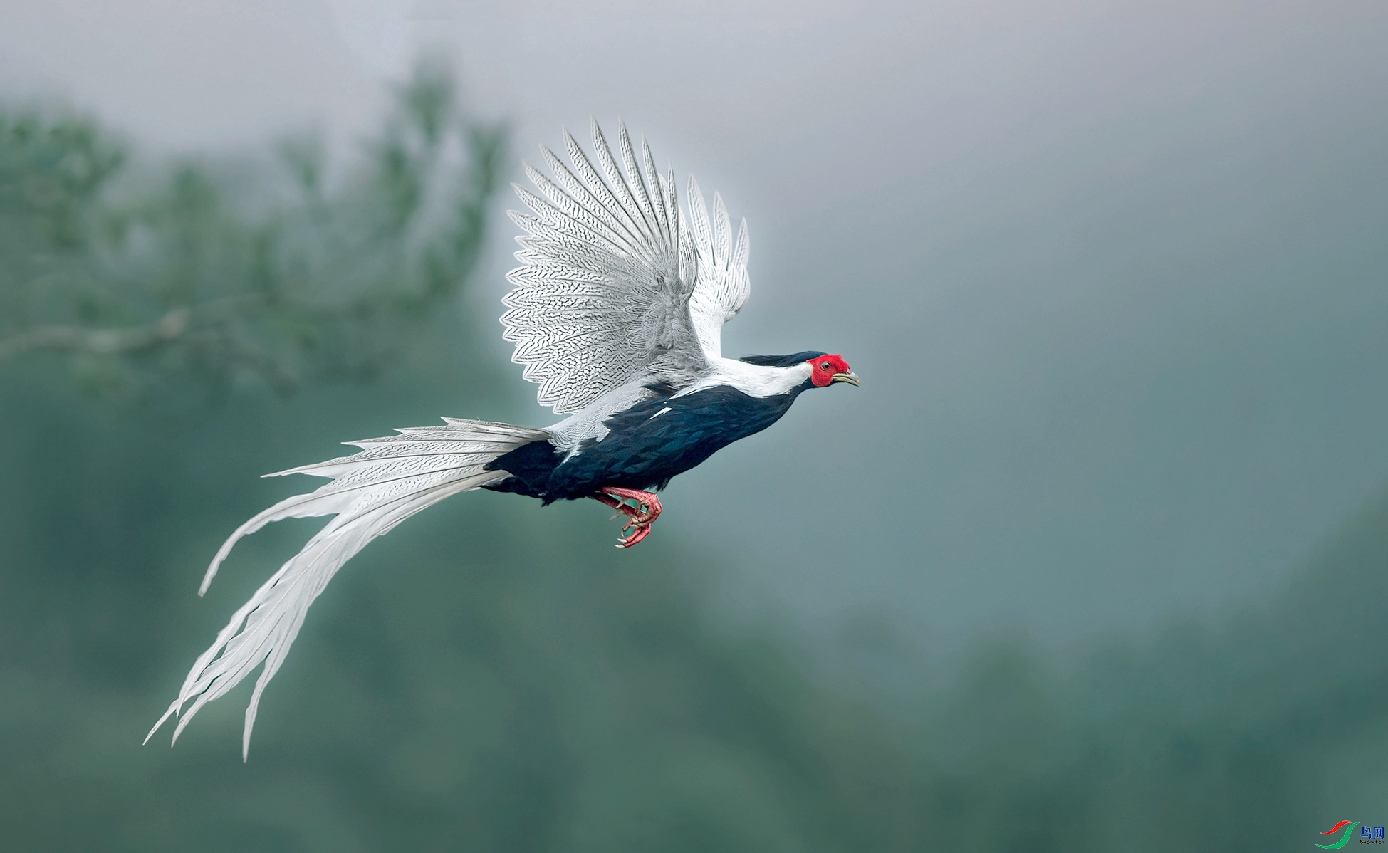 ��ȷ���  ���� ���� ����.jpg