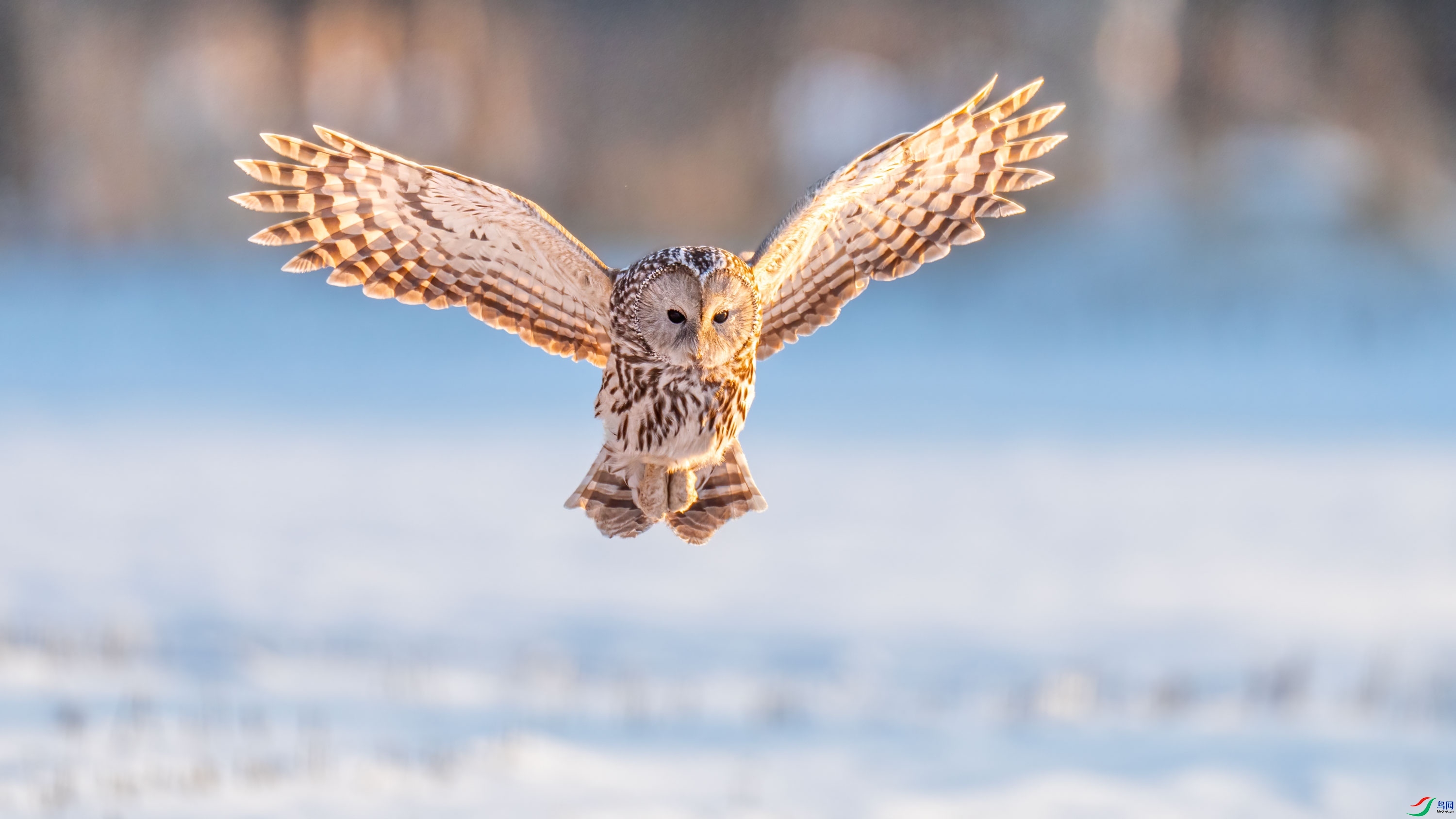 ��β���^ ���� ���� ����.jpg