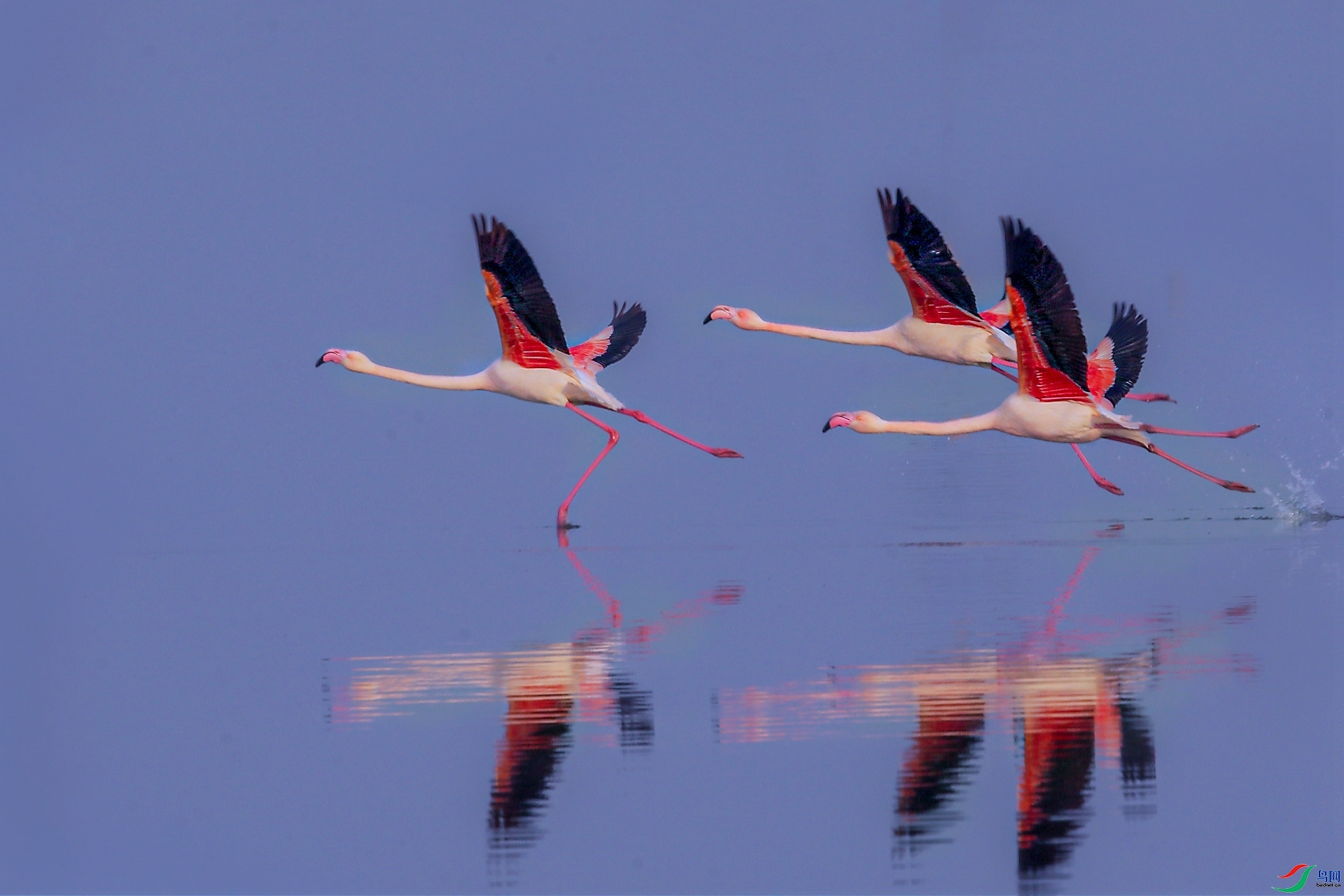 ����ǰ��--������  ����  ����.jpg