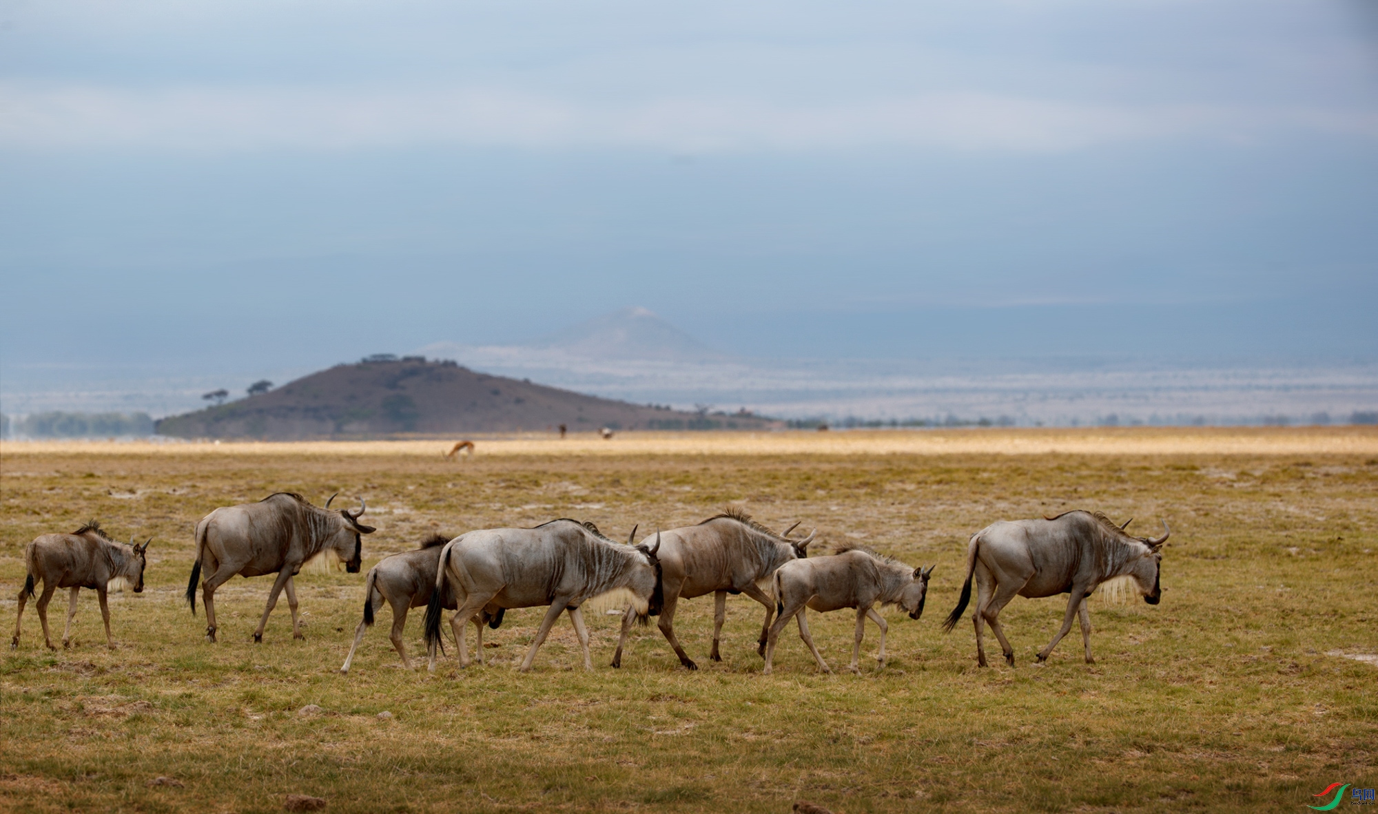 AQ9I6602 ����.jpg