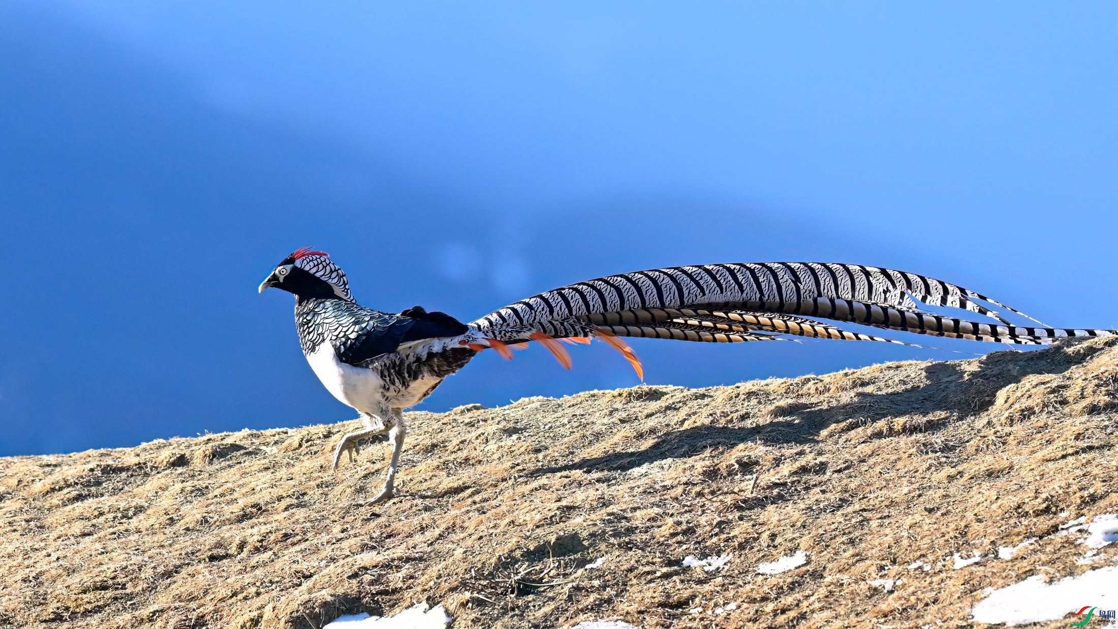_DSC5476x.jpg