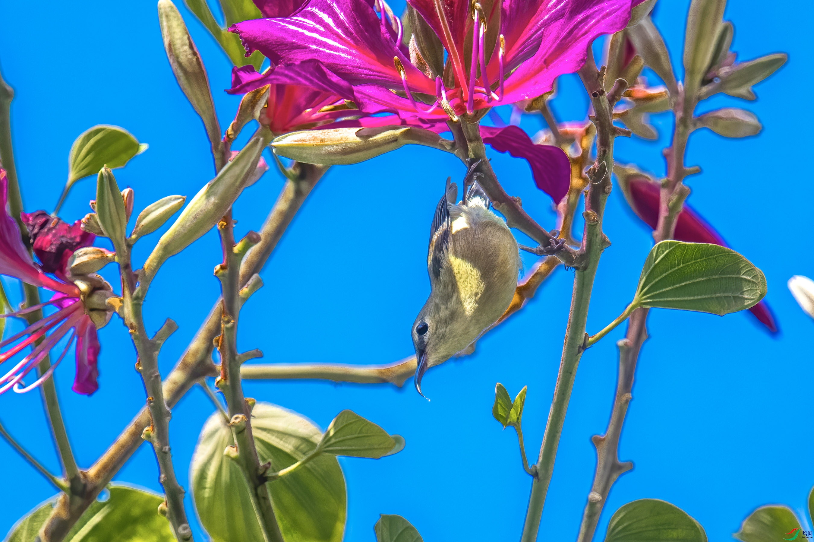 XJ0_0527 ����2.jpg