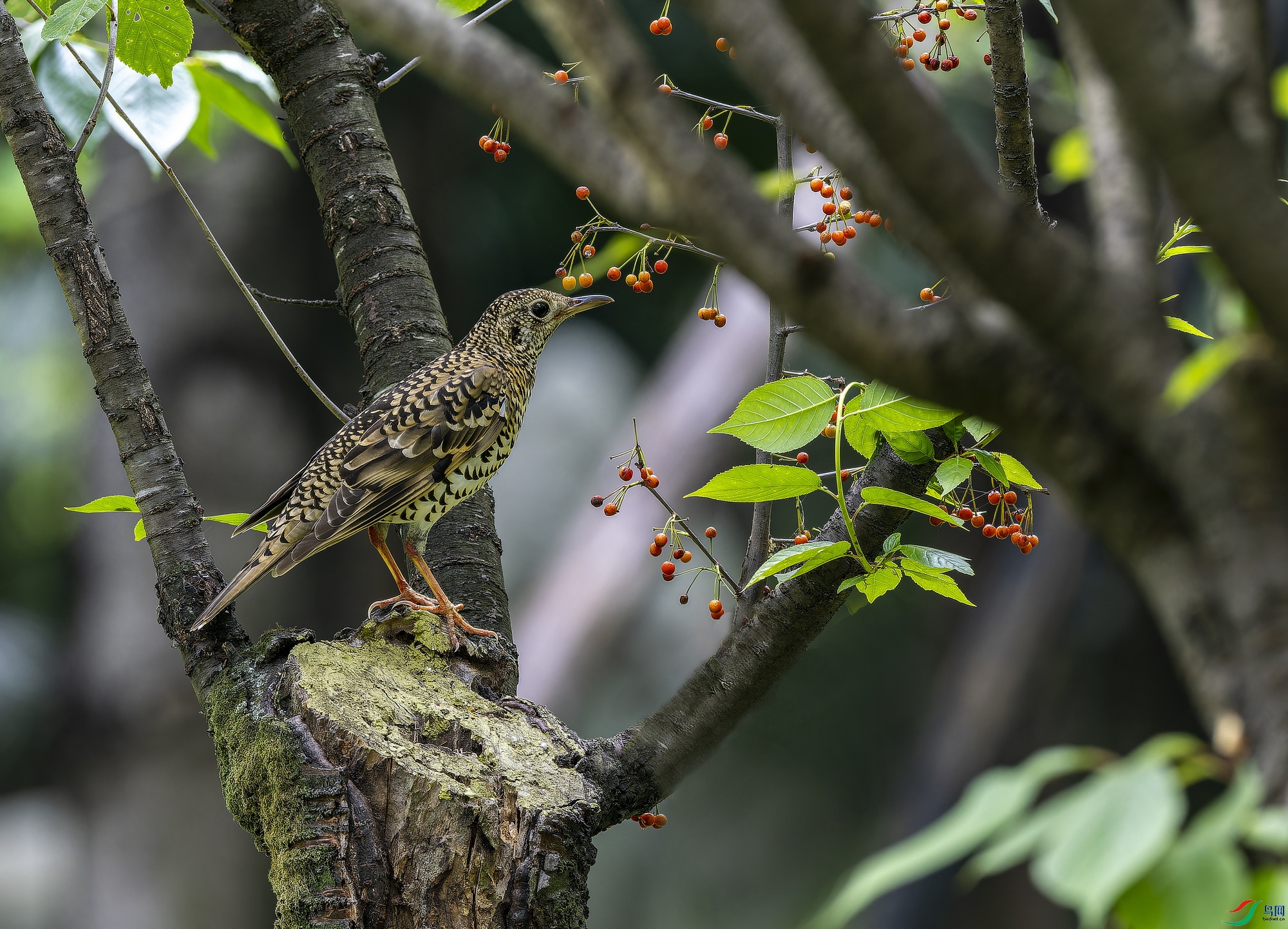 ����� (1).jpg