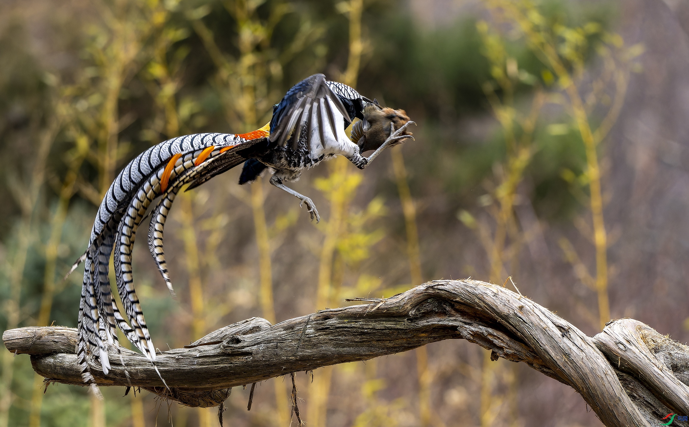 �׸����� (��) -1.jpg